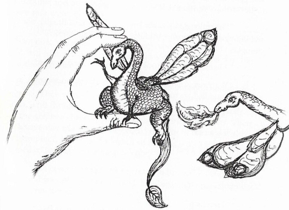 mini+dragons+scan.jpg
