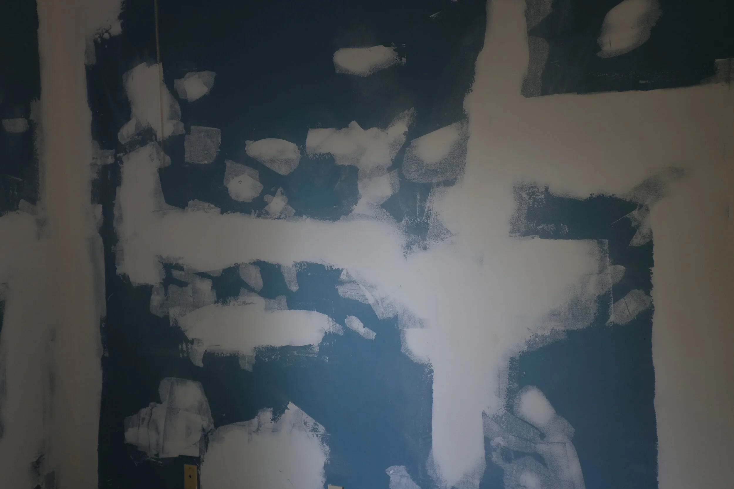 _DSF0492.JPG