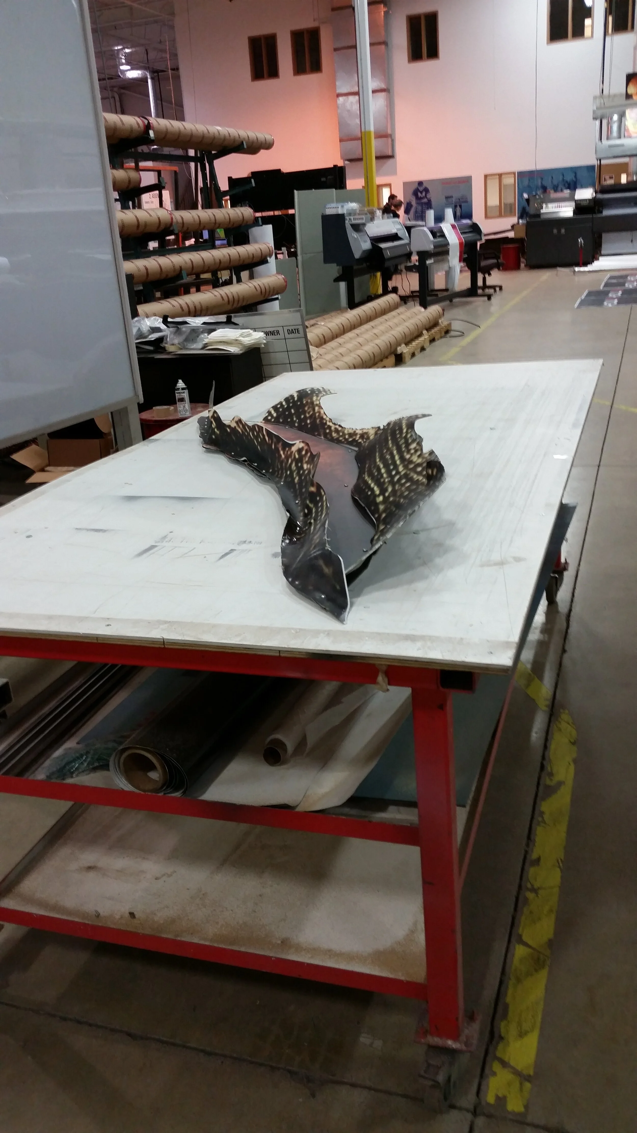 DD's neck on angle.jpg