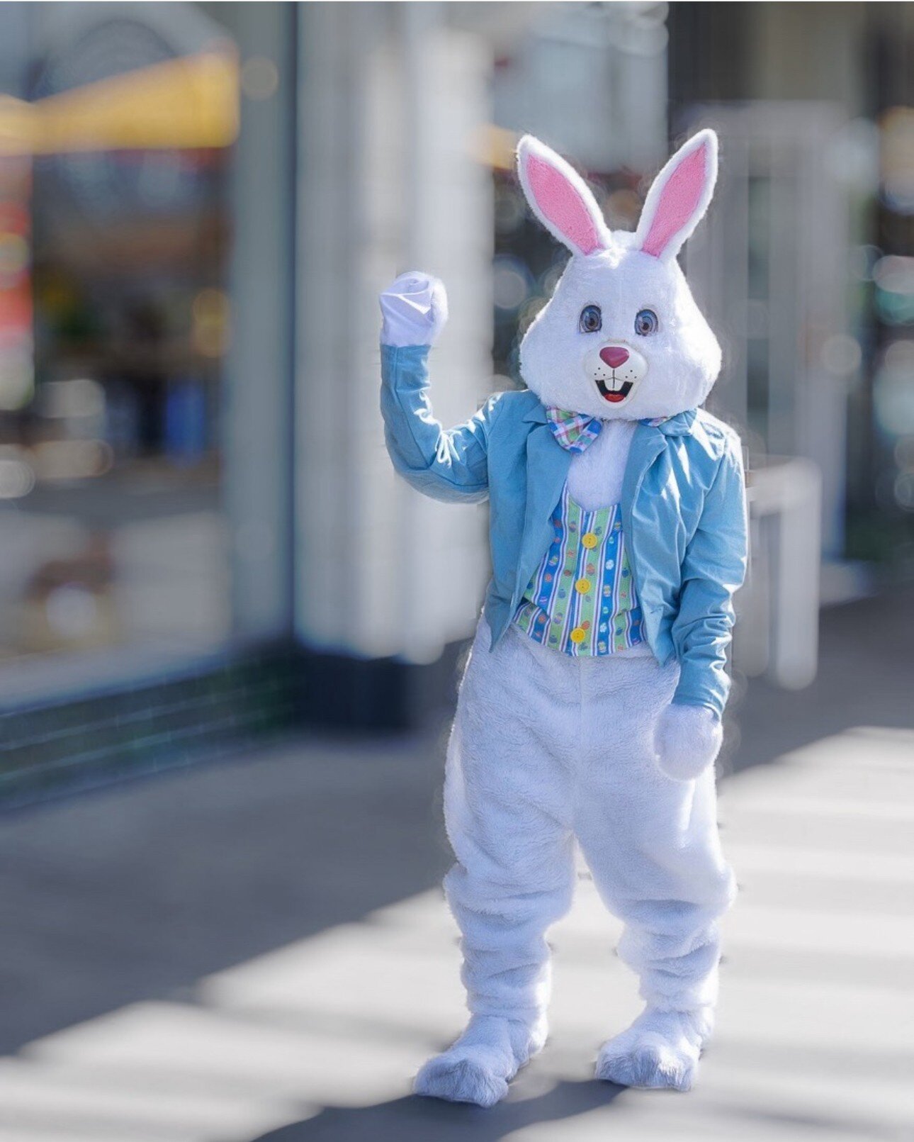 Easter bunny is hitting Hastings!⁠
⁠
Keep your eyes peeled around Hastings this week as you may just find this furry friend hopping around town with a few special treats!⁠
⁠
Tune into The Breeze Hawke's Bay 97.5FM at breakfast time to find out where 