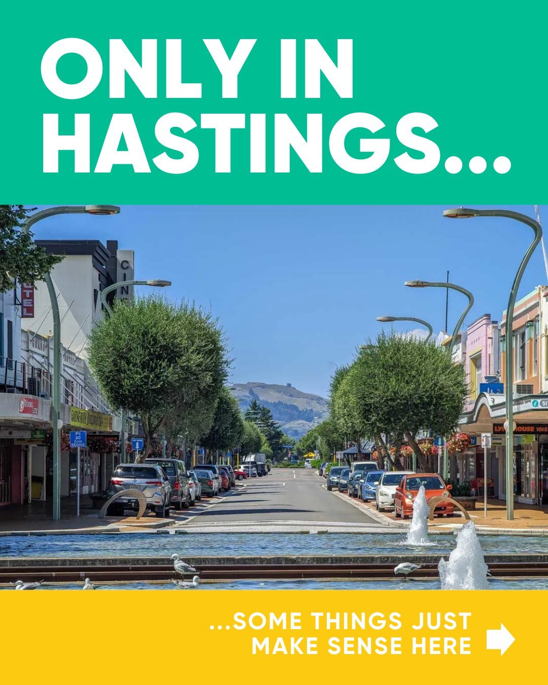 Only in Hastings. 😜🐑🕰️ 

The little moments you don&rsquo;t always notice until you stop and think about them. 

A favourite local bite, a quick coffee that turns into a catch-up with old friends, or being greeted by the same people behind the cou
