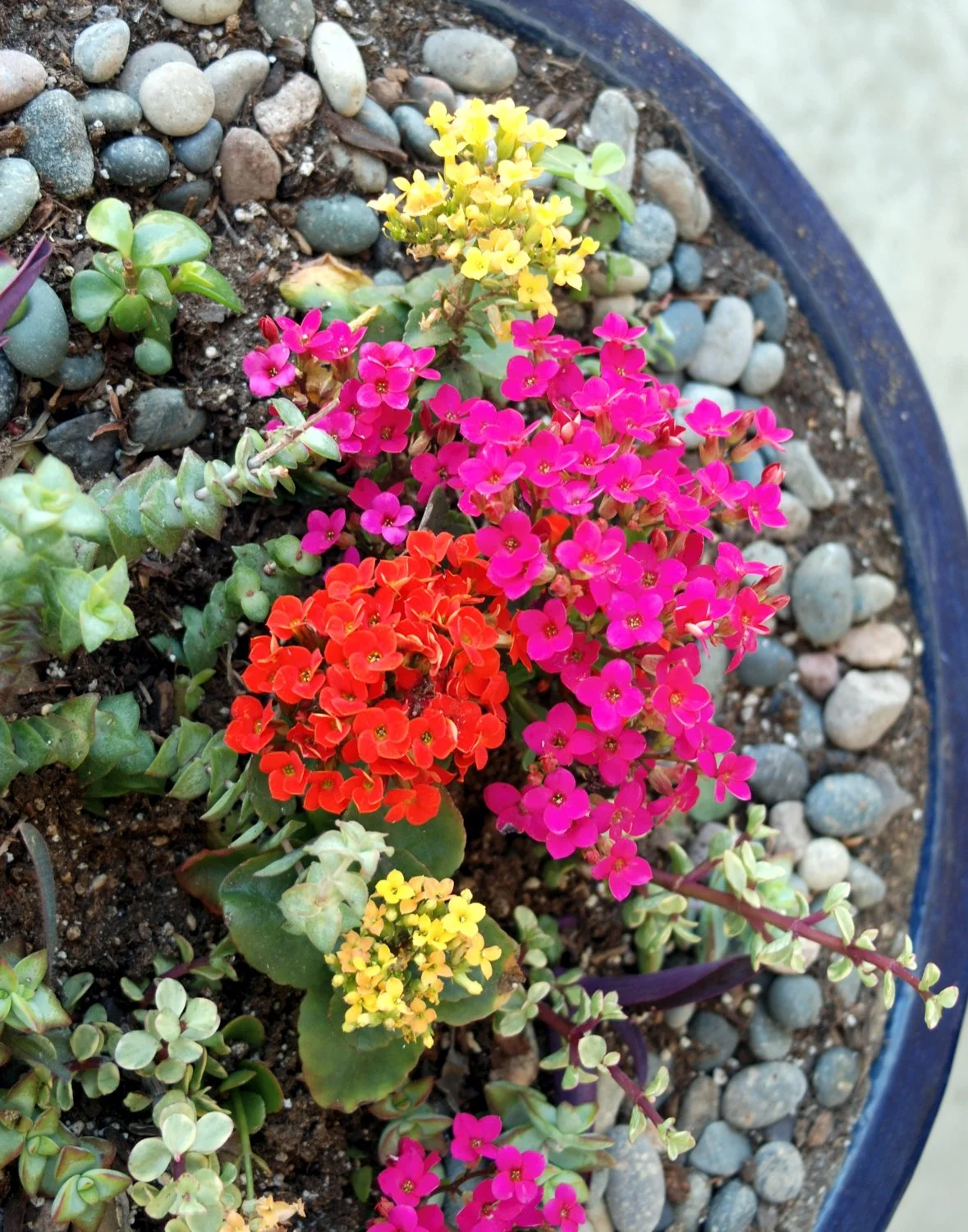0326 MASTERS GARDEN 04.jpg