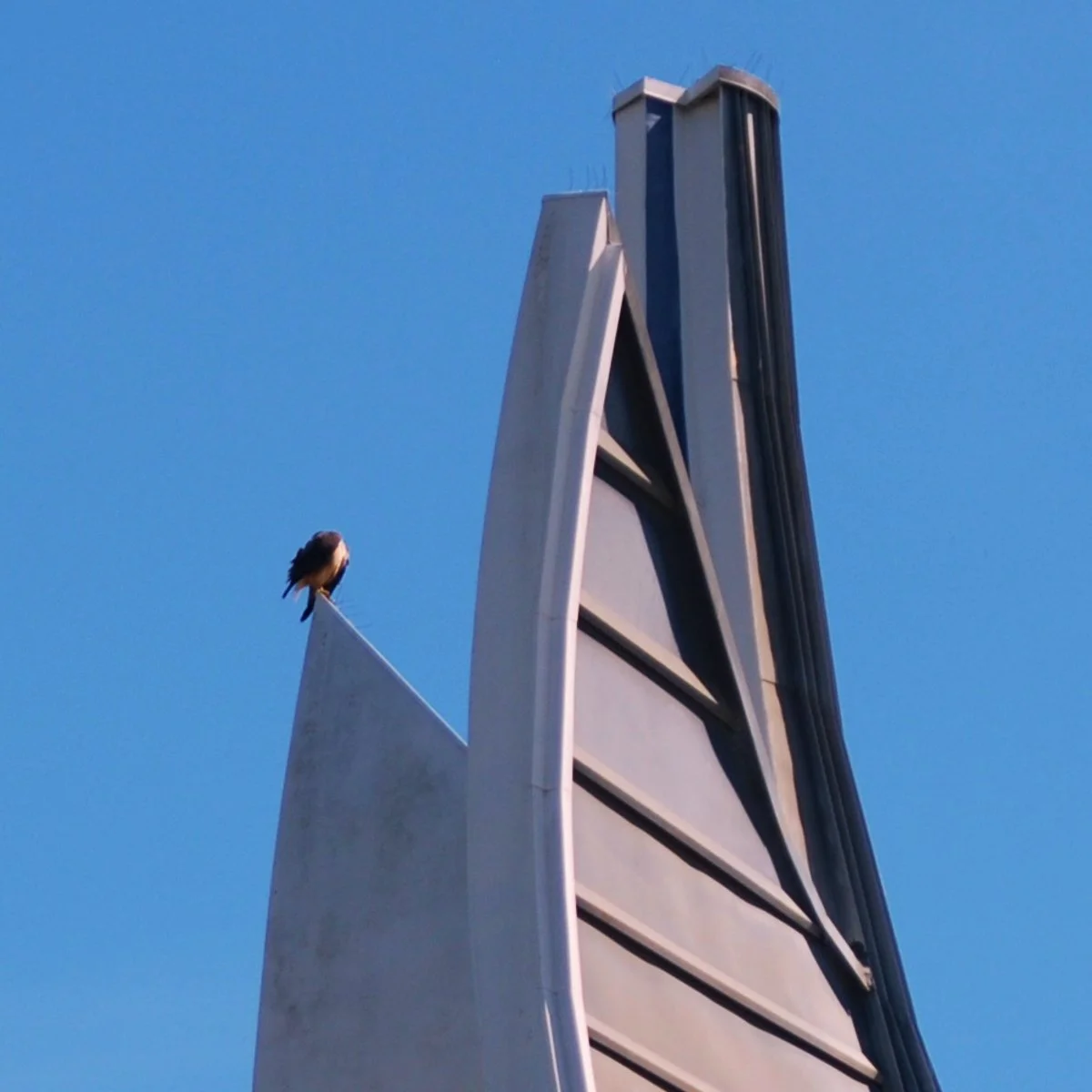 0326 TEMPLE 08.jpg