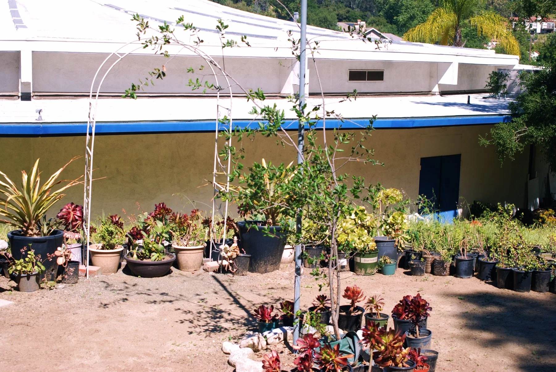 0326 TEMPLE 05.jpg