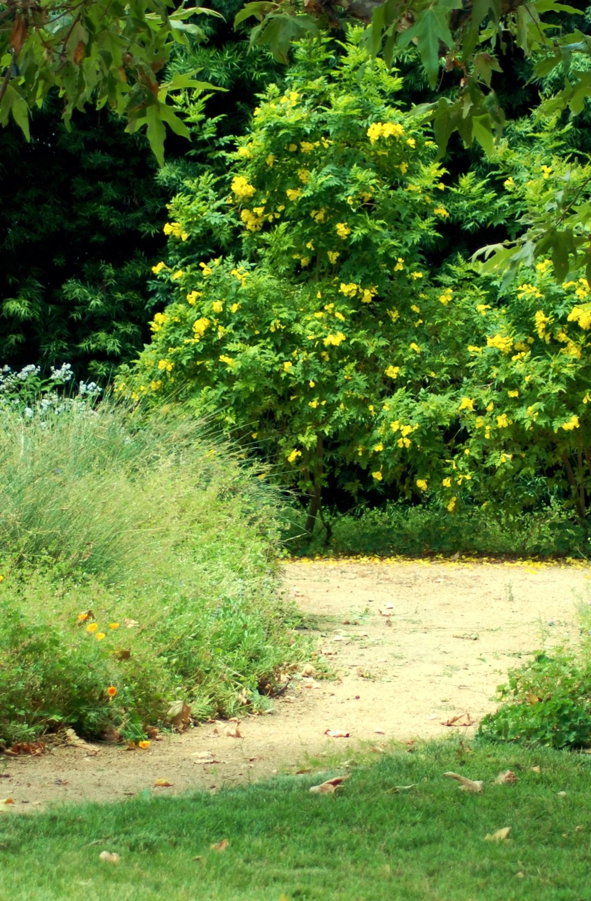 0526 MASTERS GARDEN 06.jpg