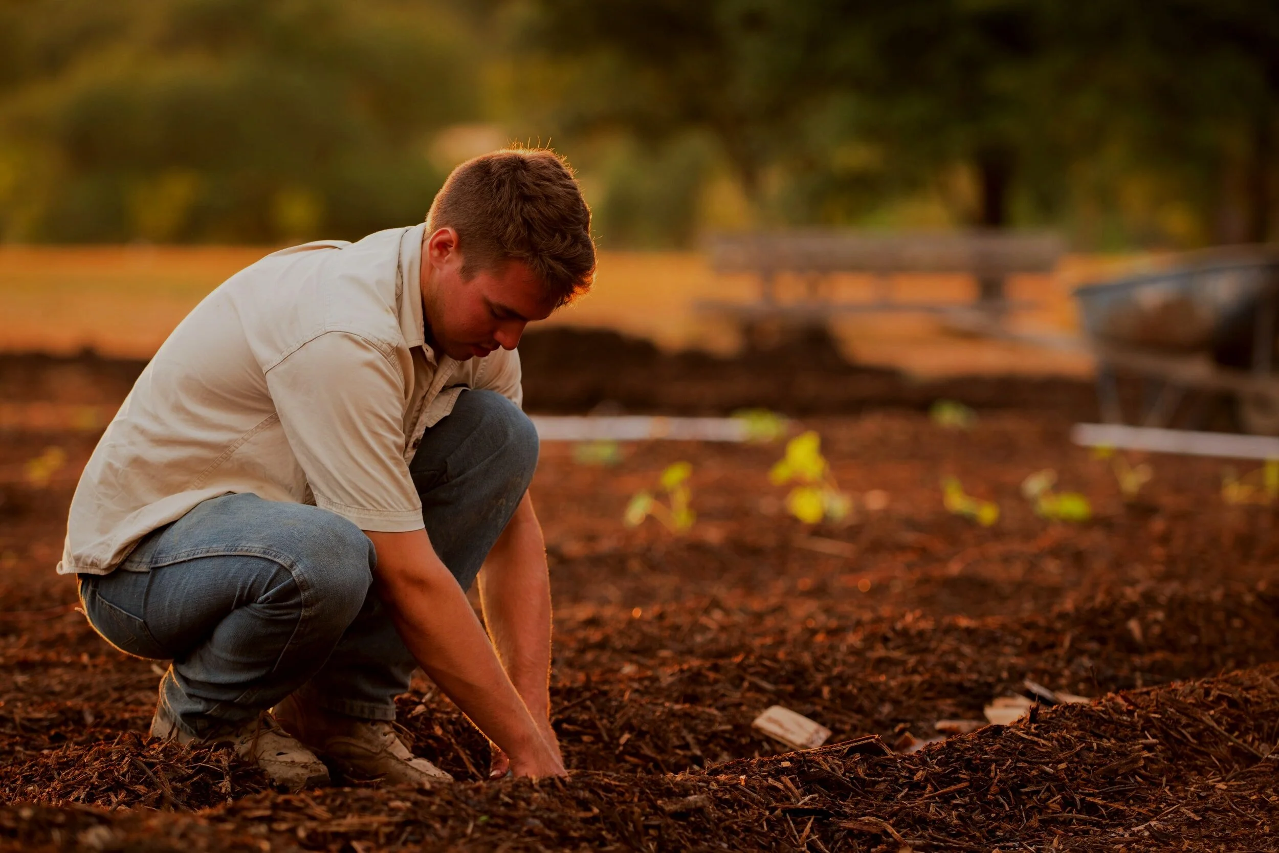 What farmers want from mental health and wellbeing-focused websites and online interventions