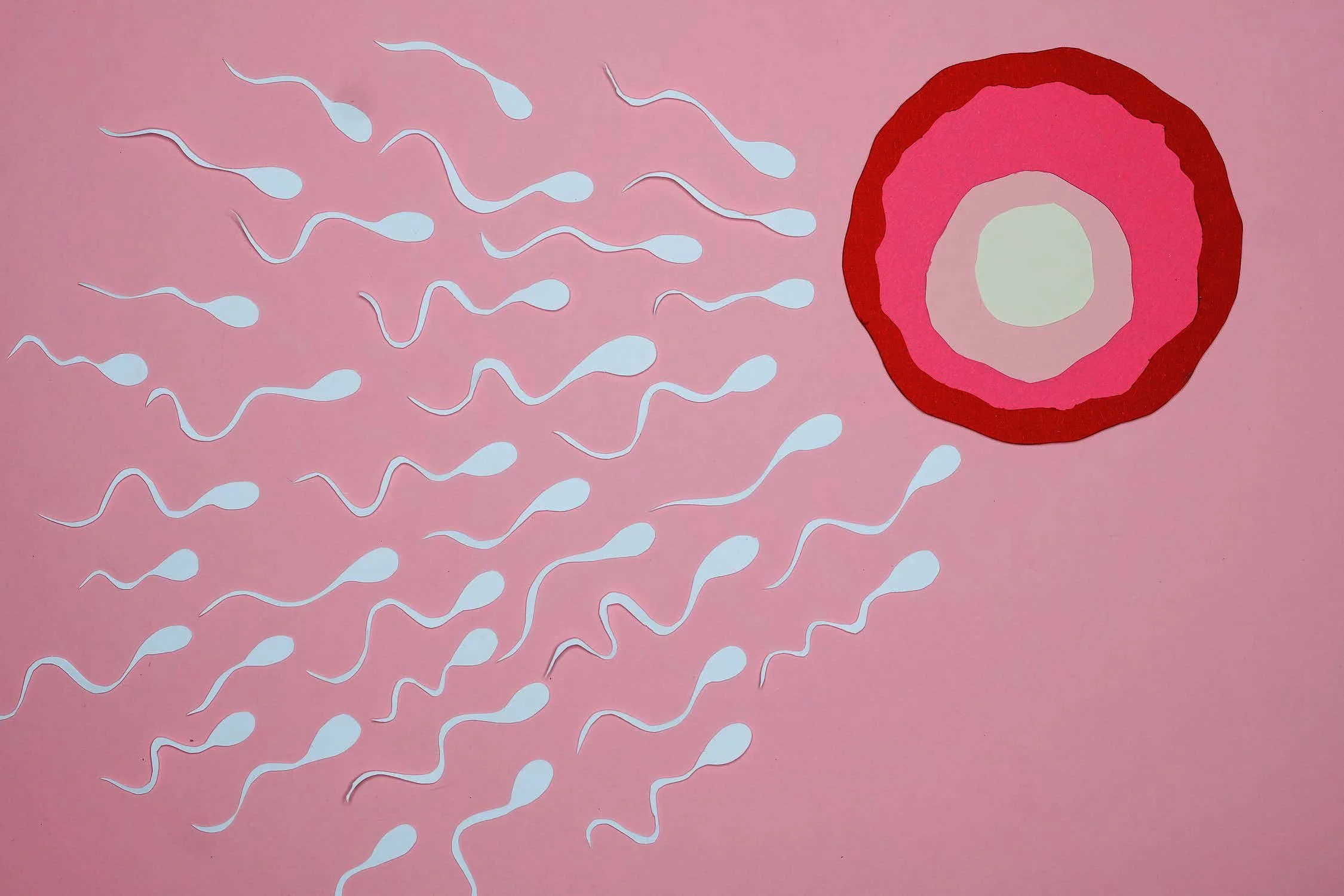 The science of preconception