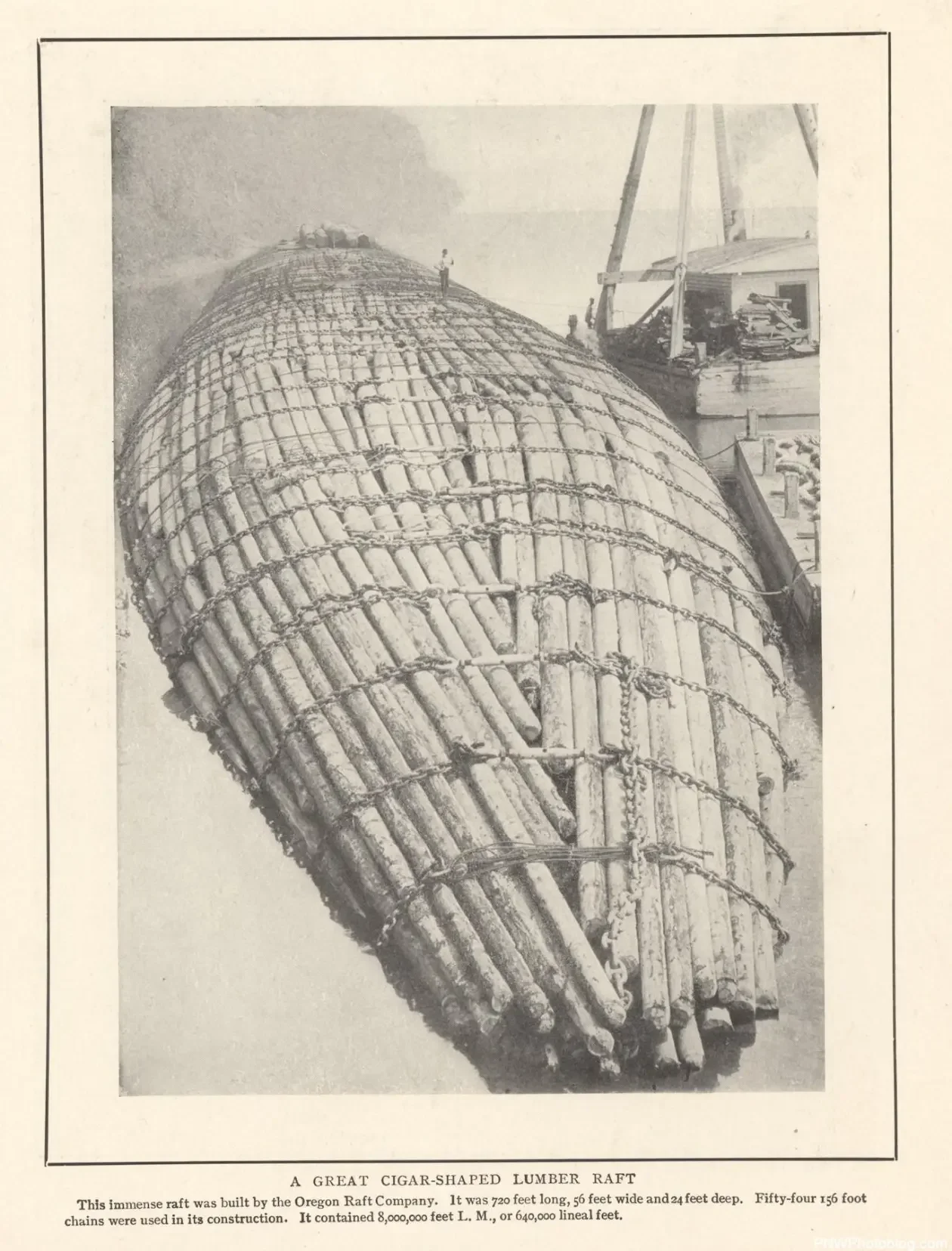 Cigarette-Shaped-Log-Raft.webp