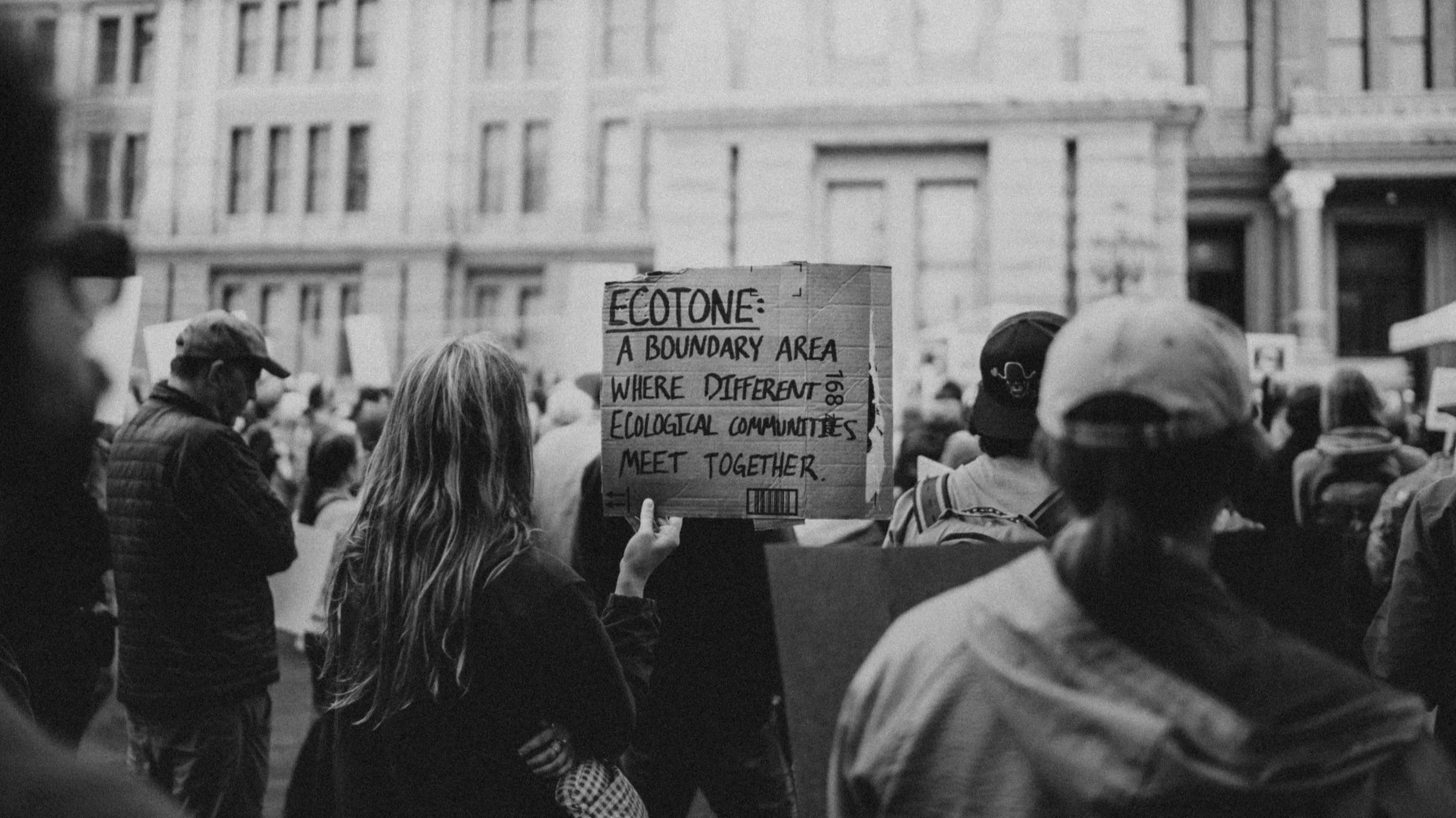 Neither Here Nor There: Musetech as Ecotone