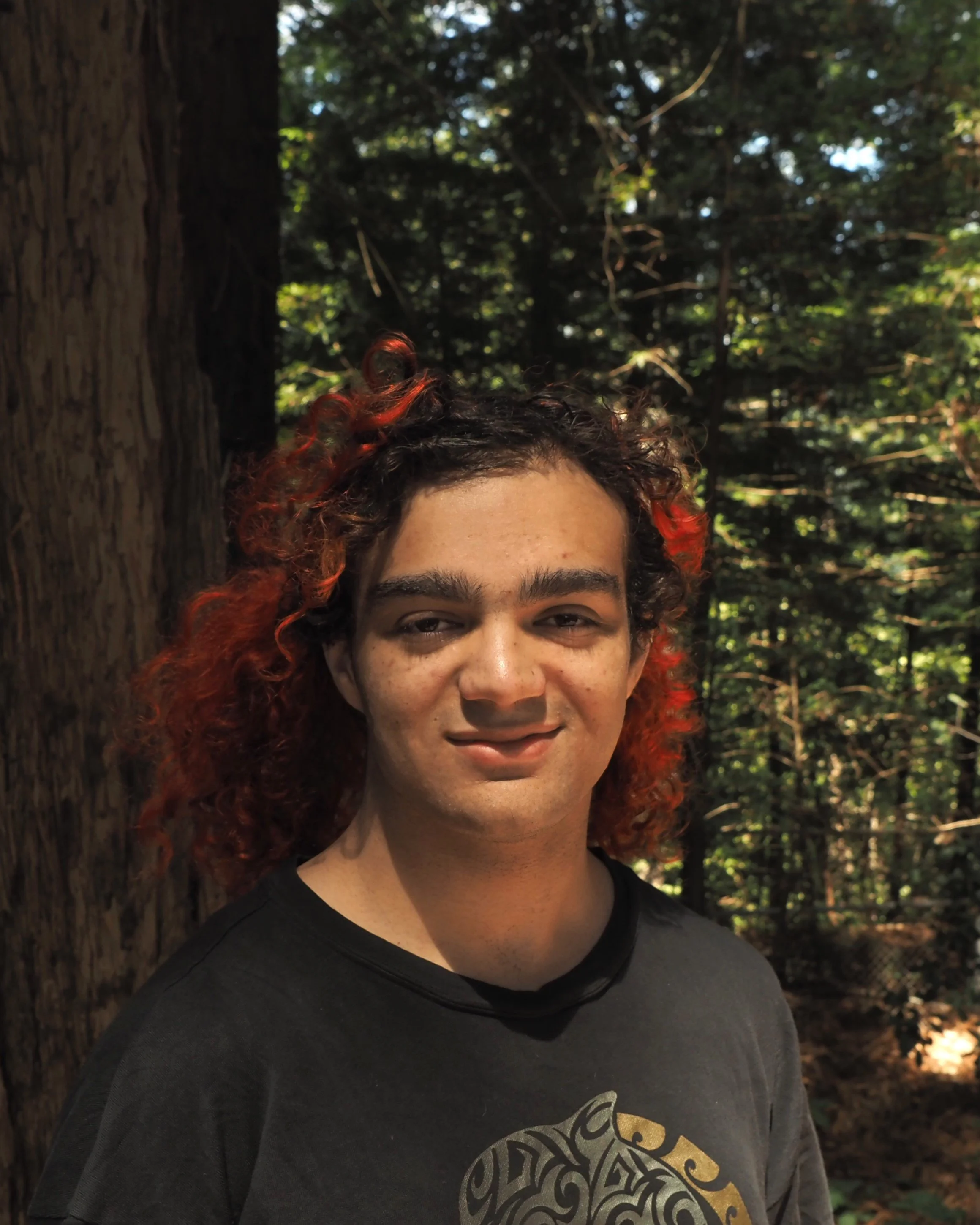 Talia Sabbag (Jaques/Courtier, Lioness)
 — 
No bio submitted