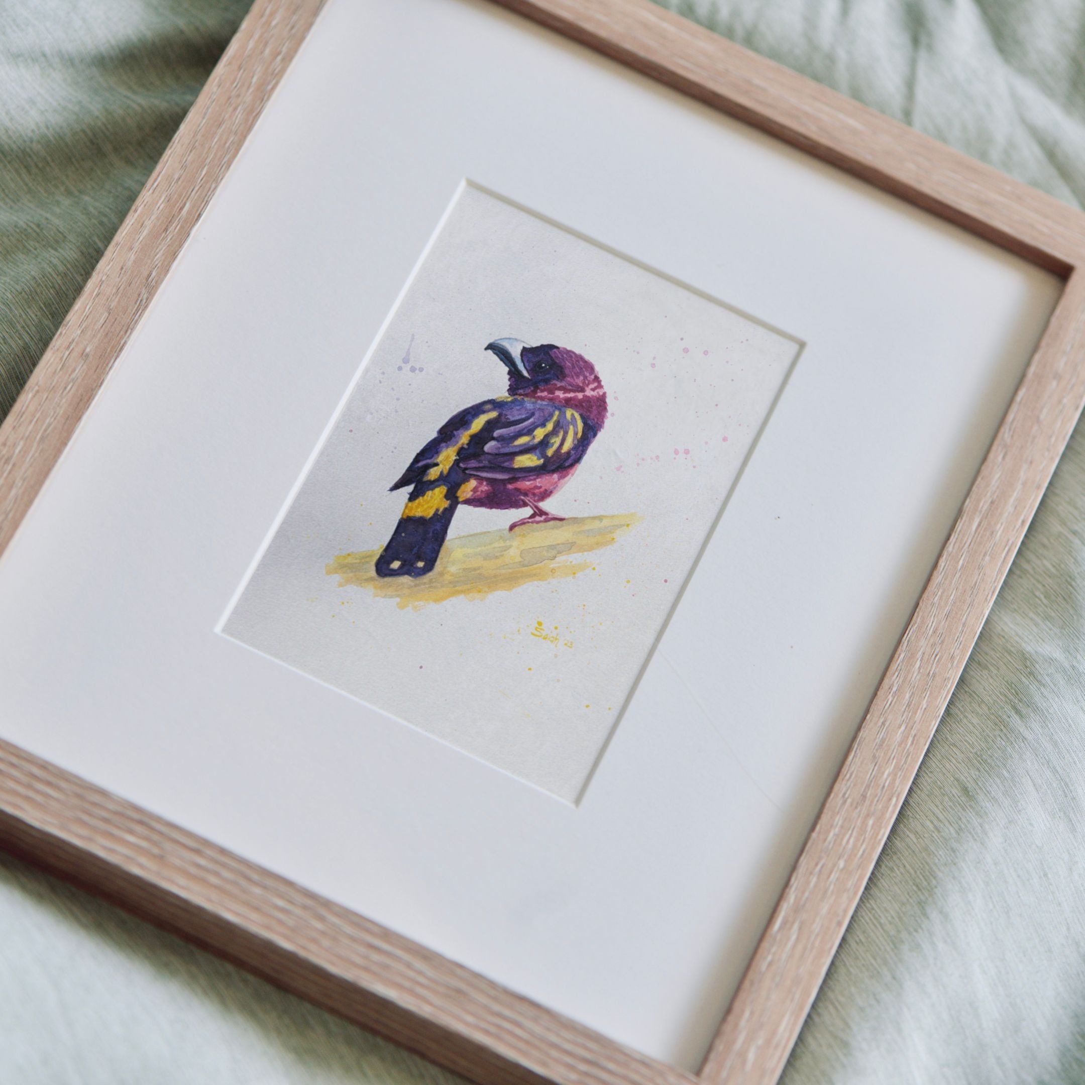 Chasing the sun -1.JPG