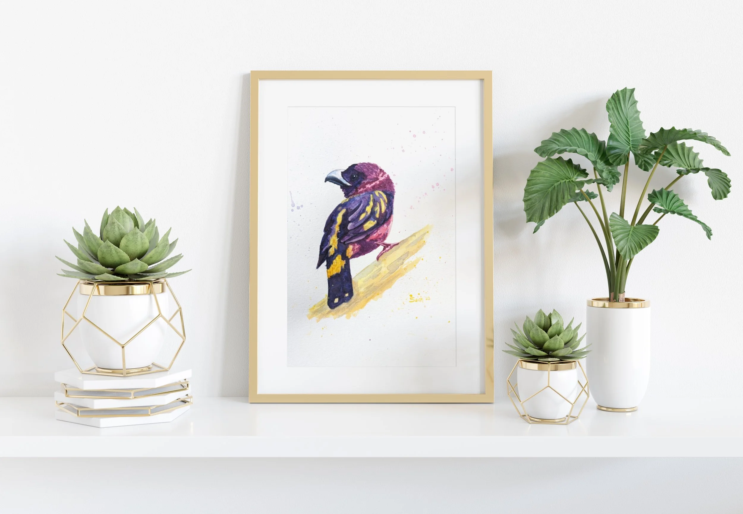 Chasing the sun -4.JPG