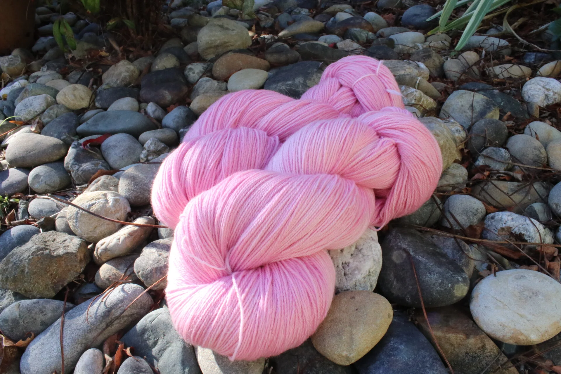 bosomfriends4ply