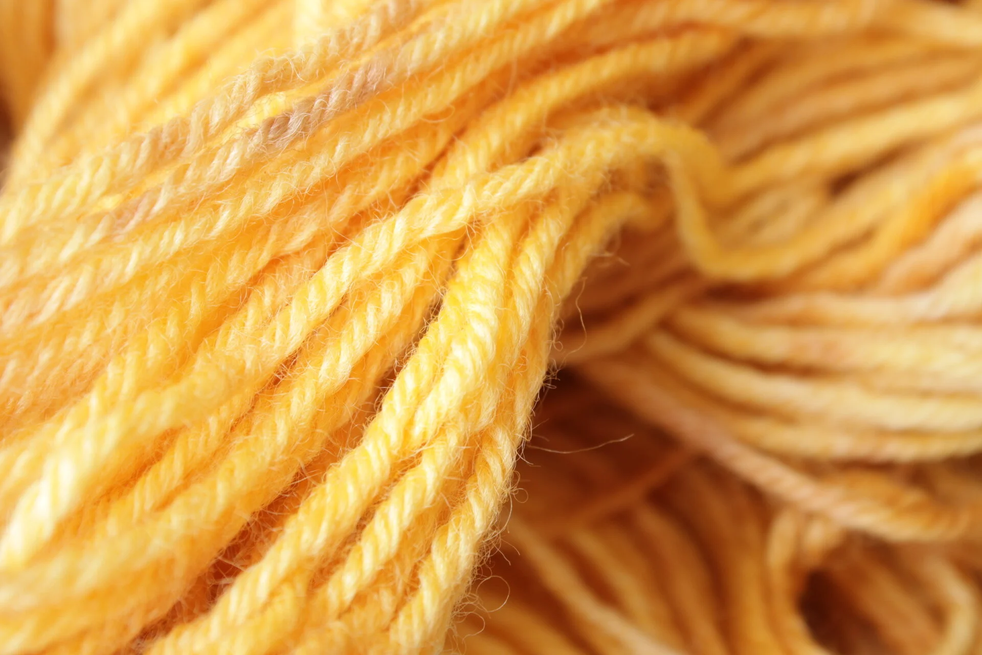 86E964D6-D960-4AE5-AA69-11D8B6094801