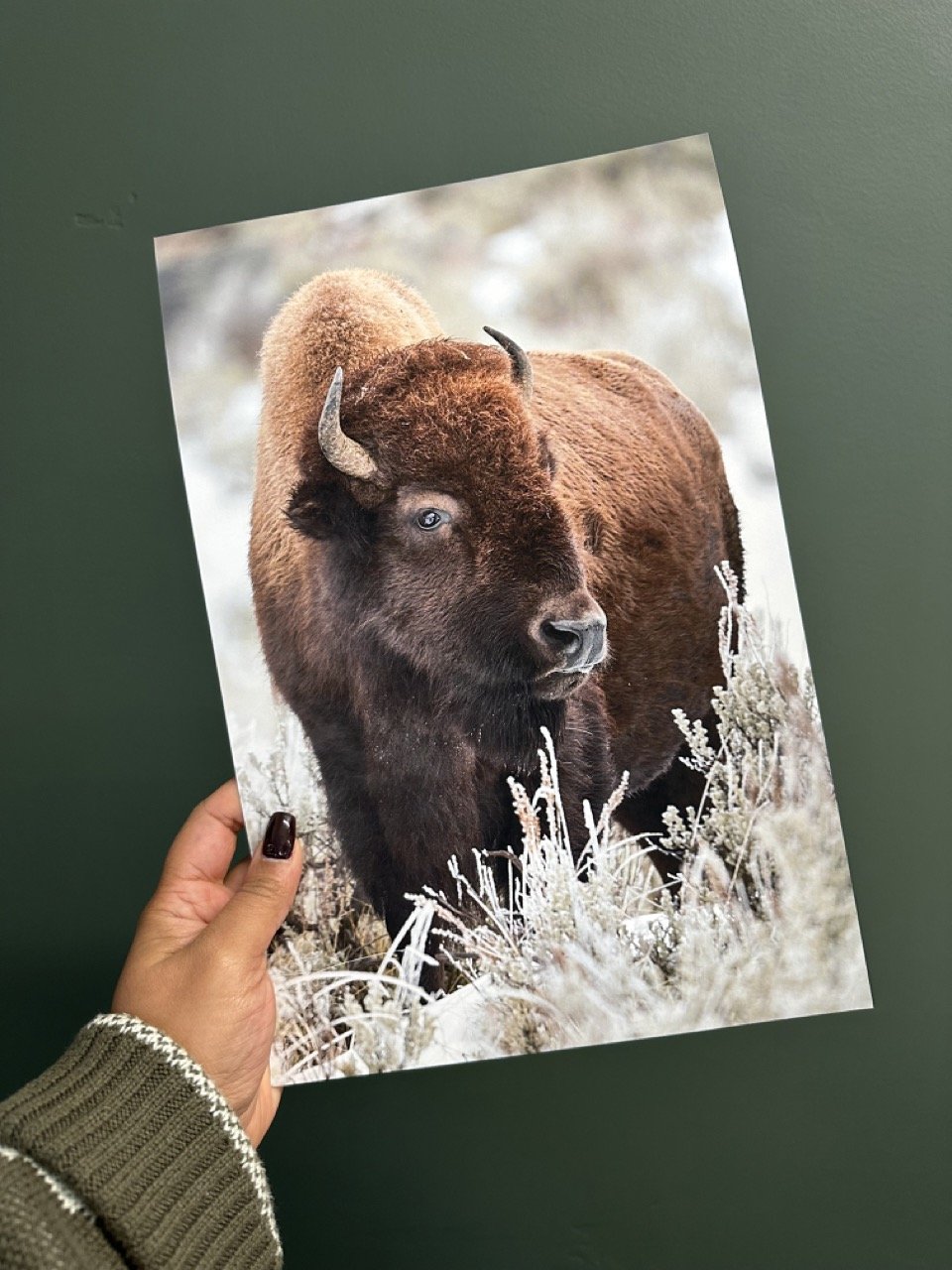 teenage bison mockup.jpeg