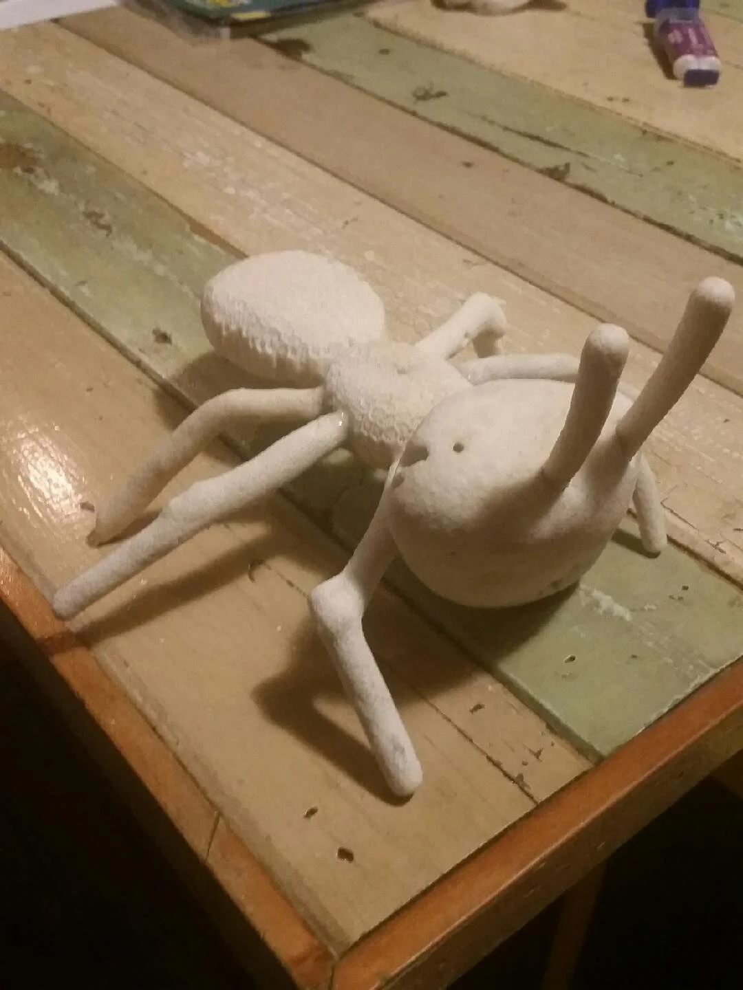Adventure Ant 2019.JPG