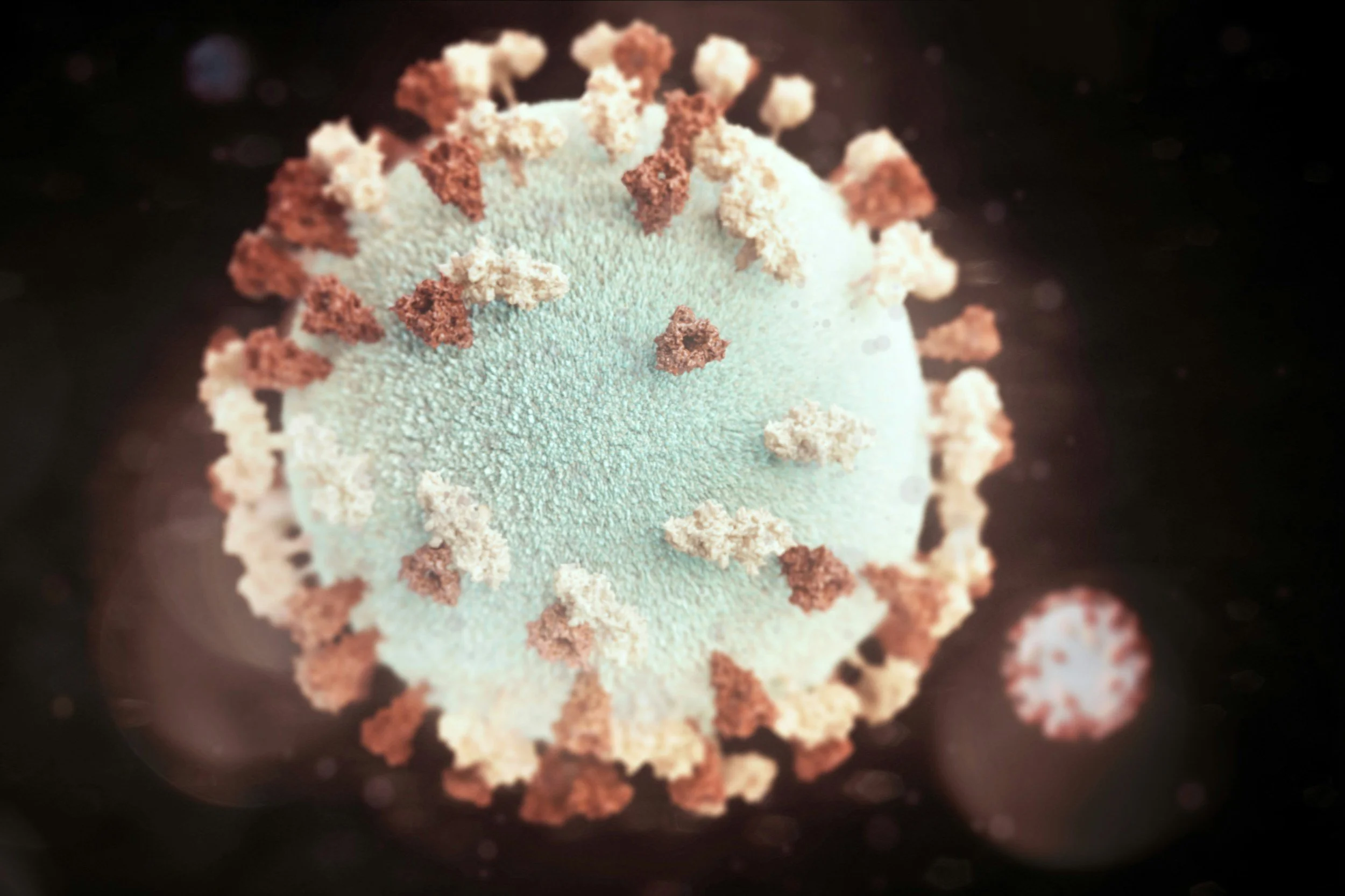 The Epstein-Barr Virus Connection:        How a Common Virus May Be Driving                    Your RA and Hormone Decline                                              