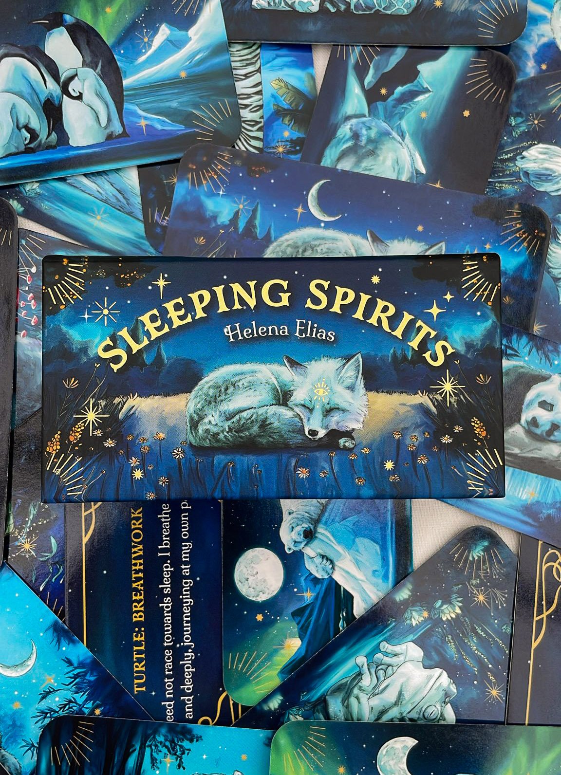 SLEEPING SPIRITS
