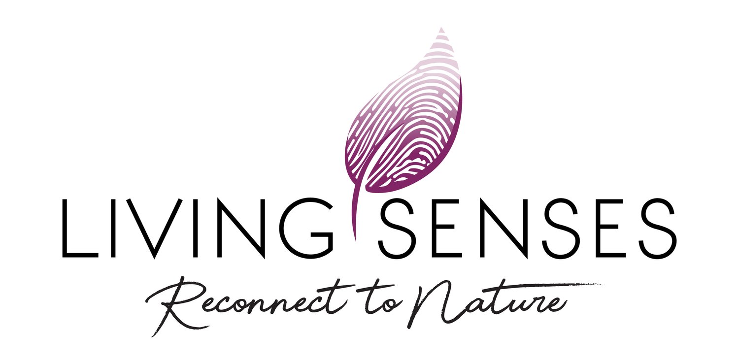 Living Senses - Garden Design