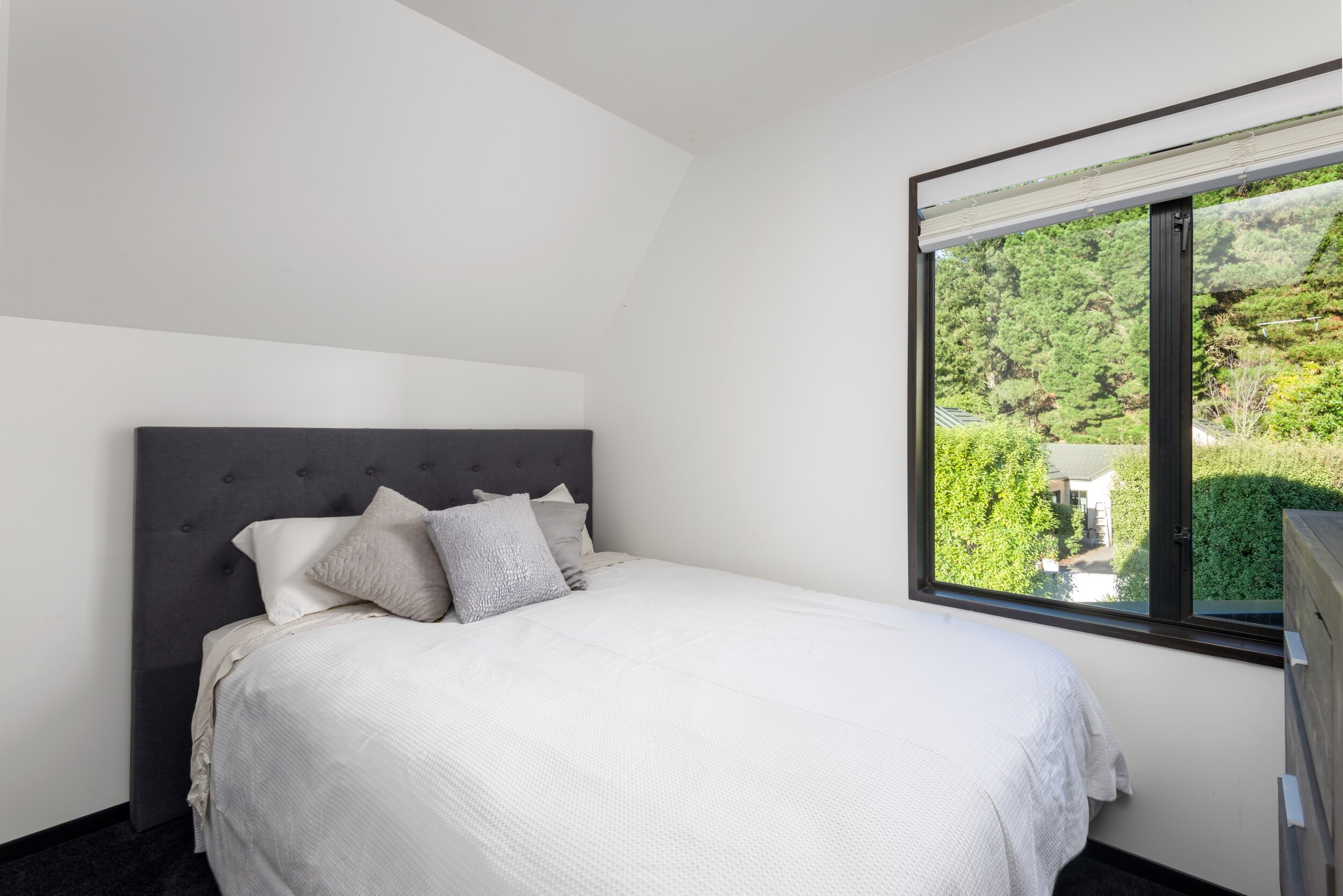 ┬® www.paulwheeler.nz-4 (Custom).jpg