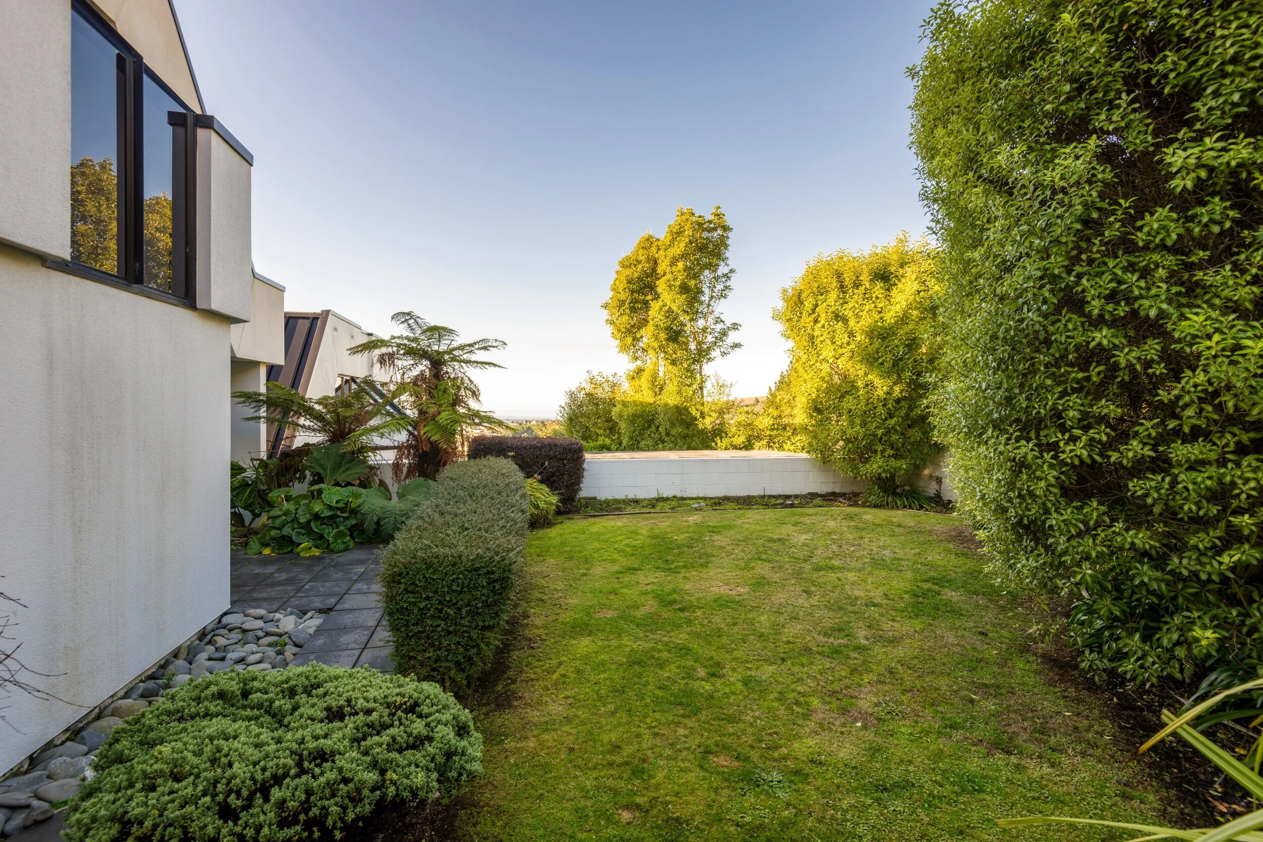 ┬® www.paulwheeler.nz-23 (Custom).jpg