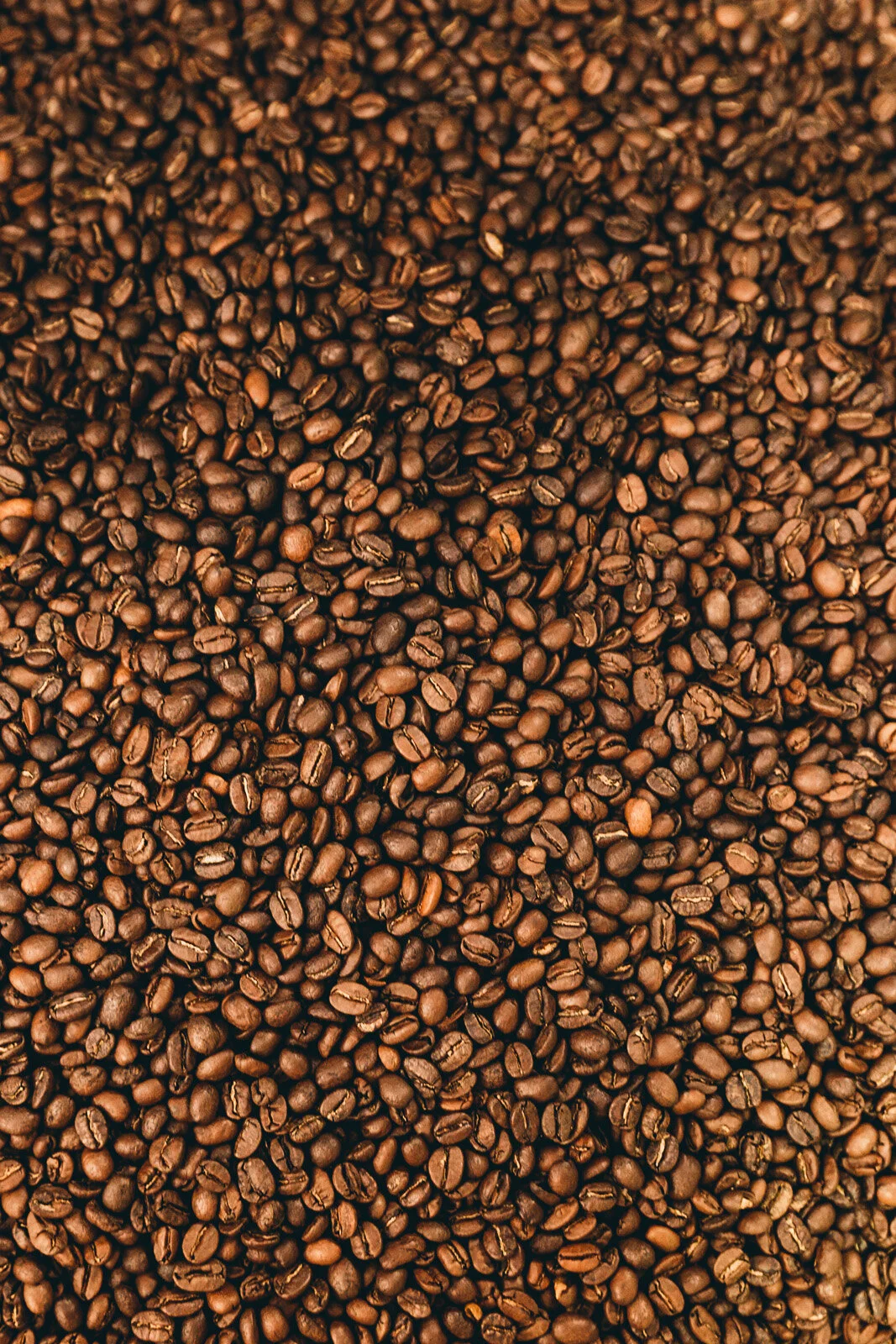 546A6604.jpg