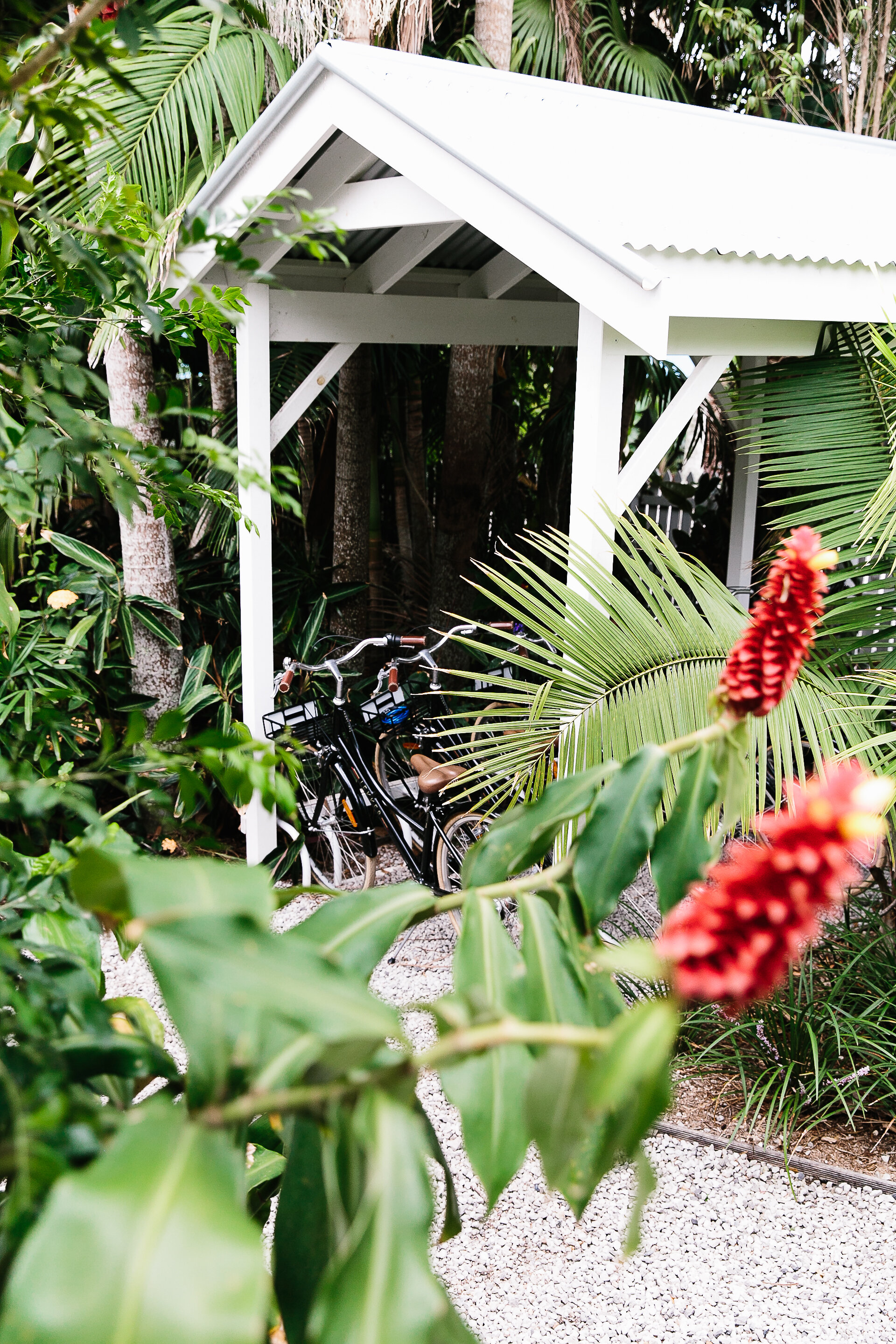 Bower Byron Bay-101.jpg