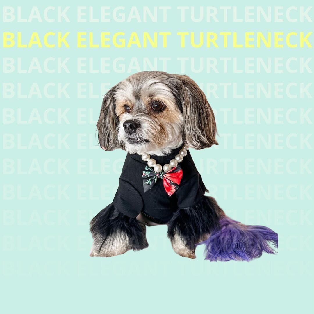 Black Elegant Turtleneck
From $35-$45
Fits from 4lbs to up to 60 pounds!
Made of 96% cotton, 4% spandex and real feathers.
.
.
.
.
.
.
#dogclothes #dogbusiness #dogsofinstagram #chihuahuasofinstagram #puppyclothes  #latinaowned #latinaownedbusiness #