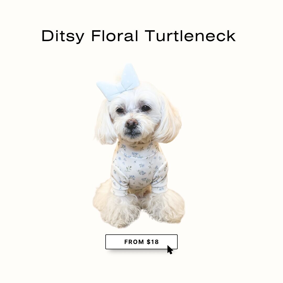 She was a fairy 🧚 
How cute does Mochi look?! 
She&rsquo;s wearing size small and it looks perfect on her!
This shirt is giving, bohemian cutie 🍃, cottage core girly 💐and tea party princess 🫖
.
.
.
.
.
.
#dogclothes #dogbusiness #dogsofinstagram 