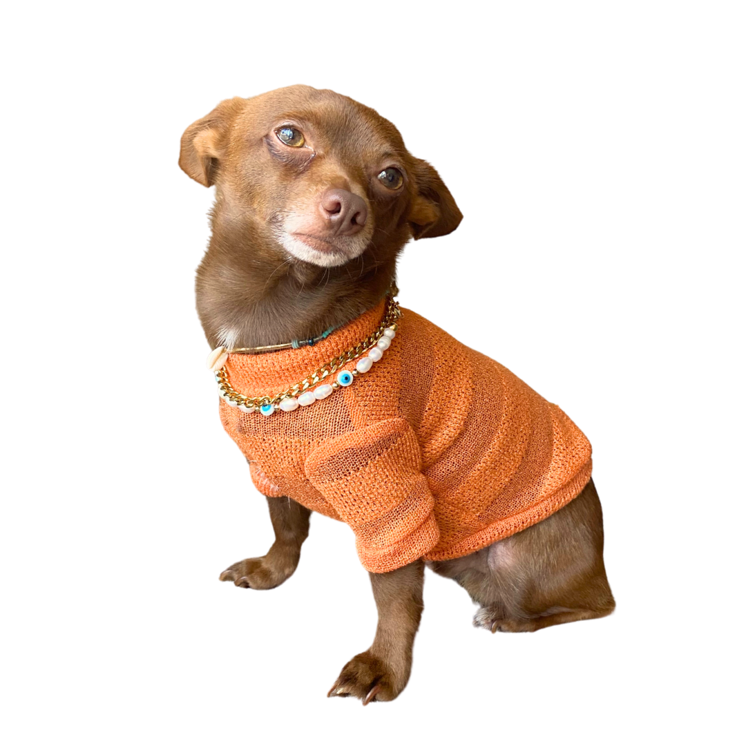 BE05CBD1-0010-40D0-8900-4635906AF929.png