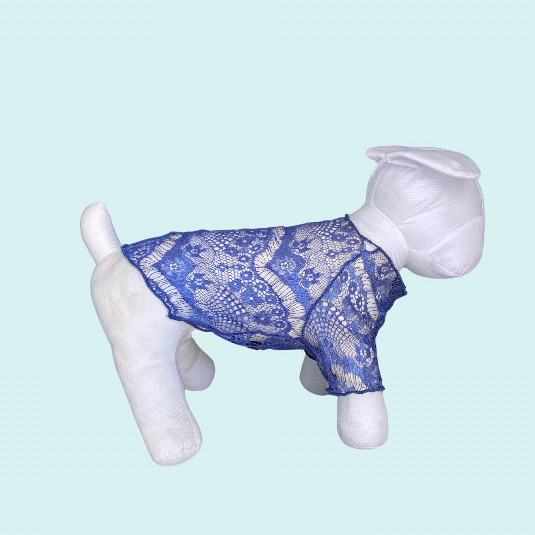 Blue Lace Raglan