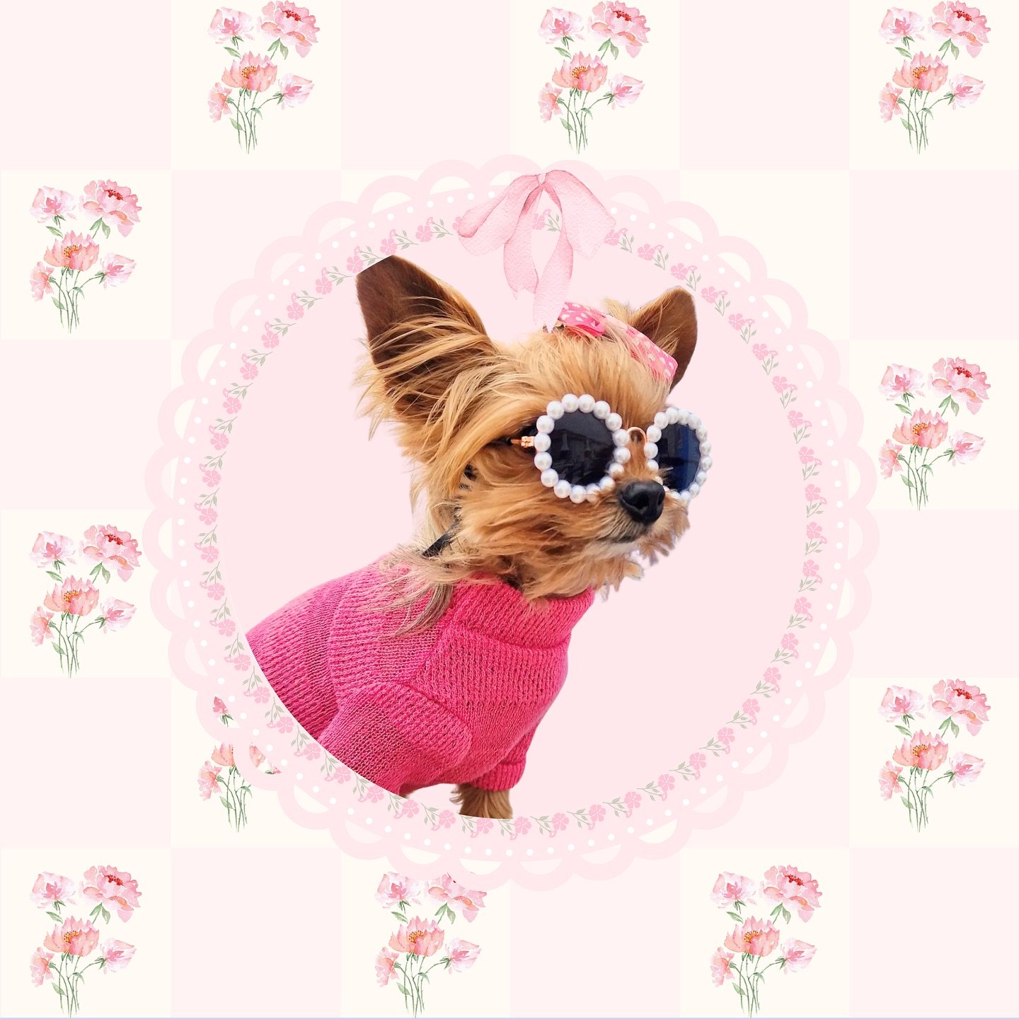 Time to feature some cuties that have recently shared their Pooch Couture looks 🥰
.
.
.
.
.
.
.
.

#handmadedogclothes #bayareabusiness #dogapparel #petapparel #petshirt #dogshirt #puppyclothes #californiabusiness #petecommerce #dogsofsf #dogsofsj #