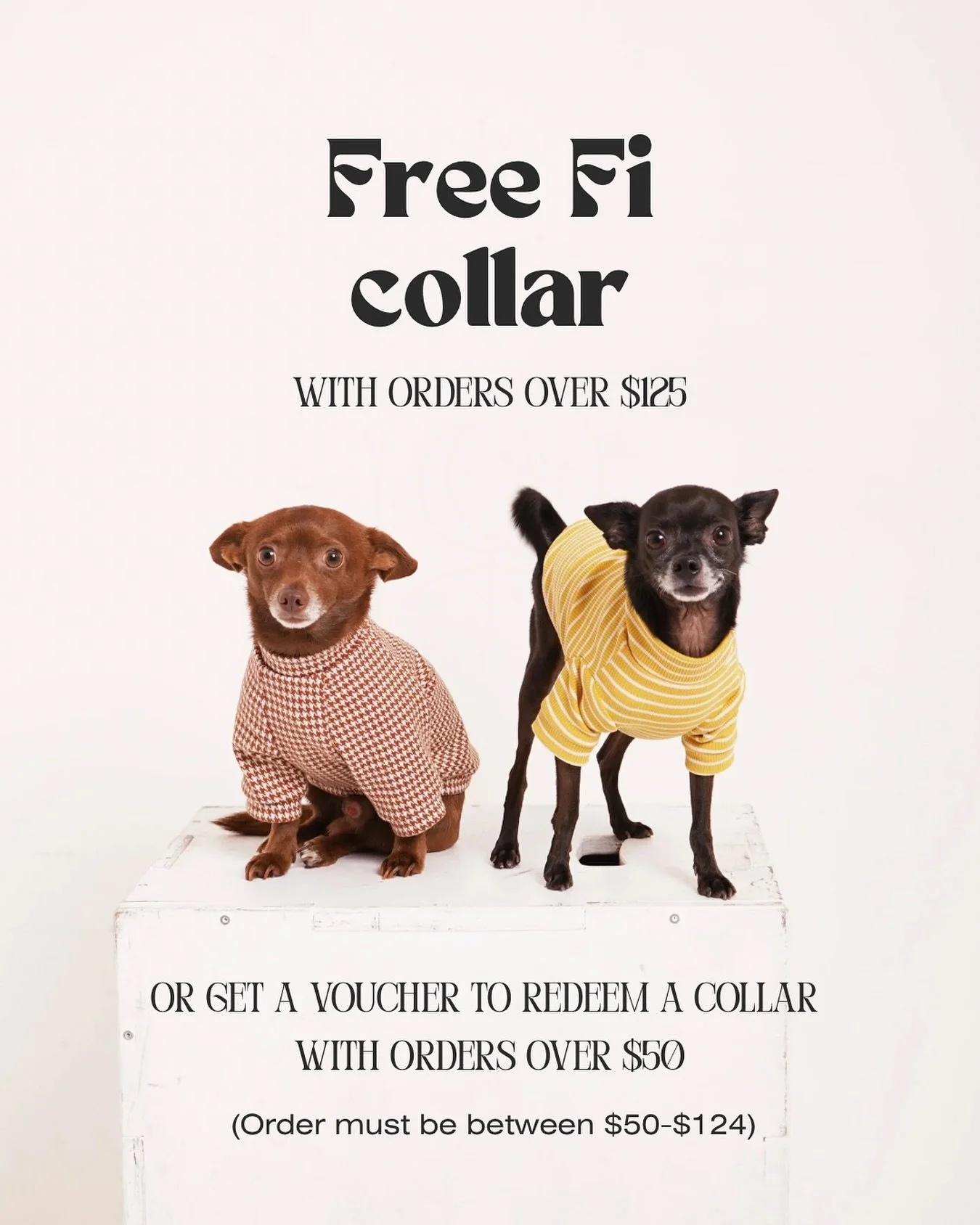 We&rsquo;ve partnered up with @fi.dogs to make your walks even better! We keep you cozy and Fi keeps you safe 🤩
Shop our Autumn release on Monday 9/22 and get a freebie!

All orders over $125 will receive one free Fi dog collar in their order!!
* fi
