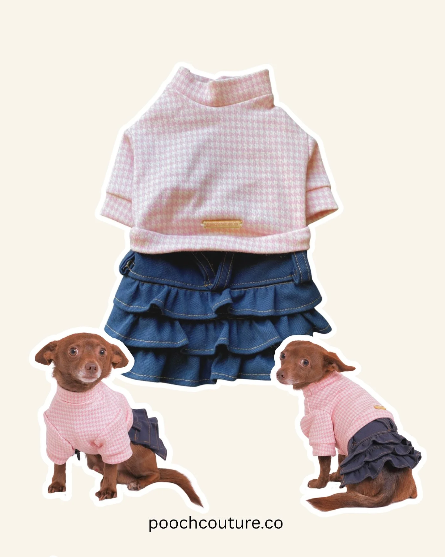 Which do you have? 

.
.
.
.
.
.
.
.

#handmadedogclothes #bayareabusiness #dogapparel #petapparel #petshirt #dogshirt #puppyclothes #californiabusiness #petecommerce #dogsofsf #dogsofsj #dogsofbayarea #dogsofeastbay #dogsofcalifornia #dogsofnorcal #
