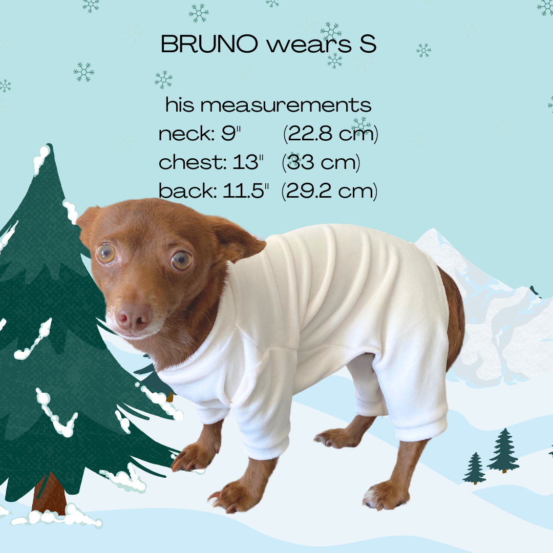 BRUNO wears S his measurements neck 9 chest 13 back 11.5.png