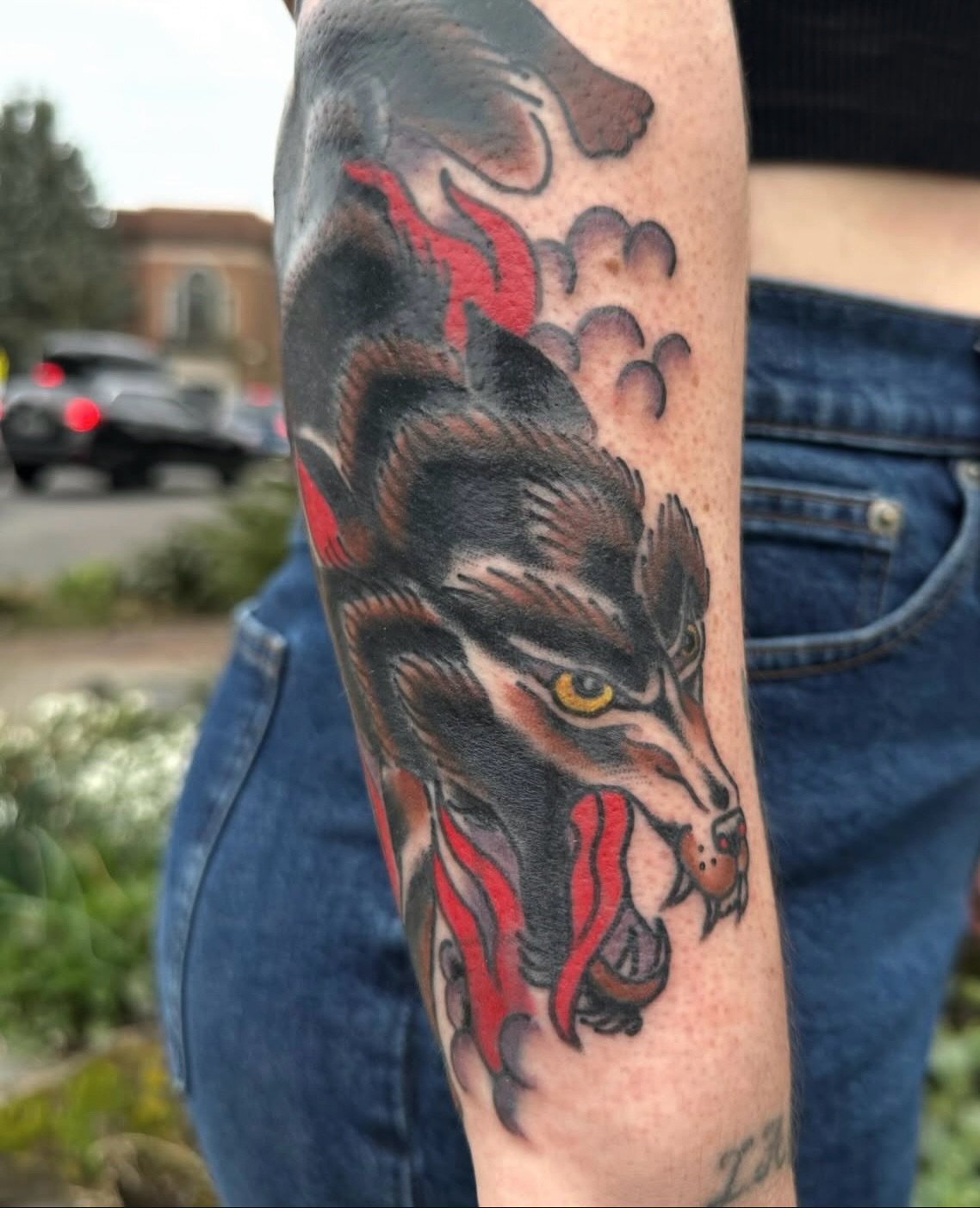 Wolf made for a cover up done by @sarahhalltattoos 

To schedule with Sarah go to her page and send her an email located in bio