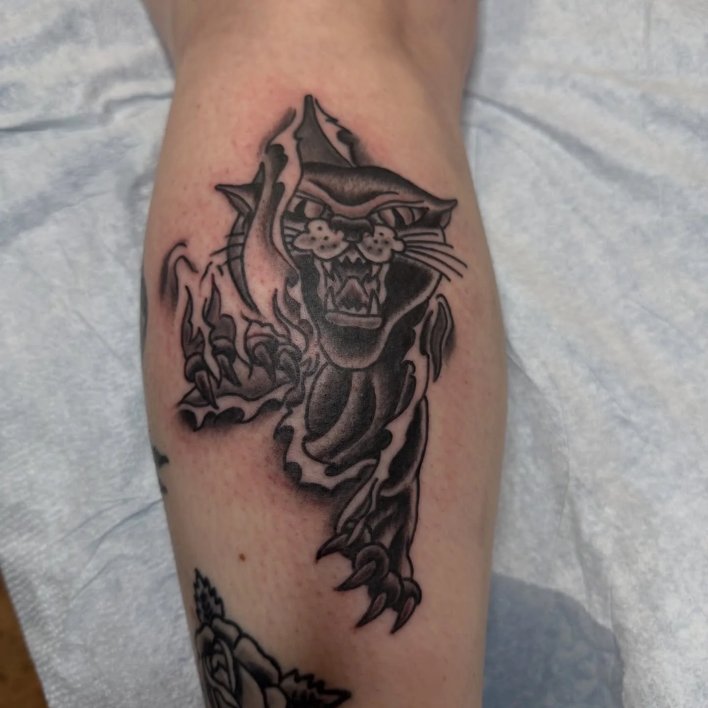 Panther skin rip done by @jakeacreetattoos 

Schedule with Jake by sending him a DM over on his page