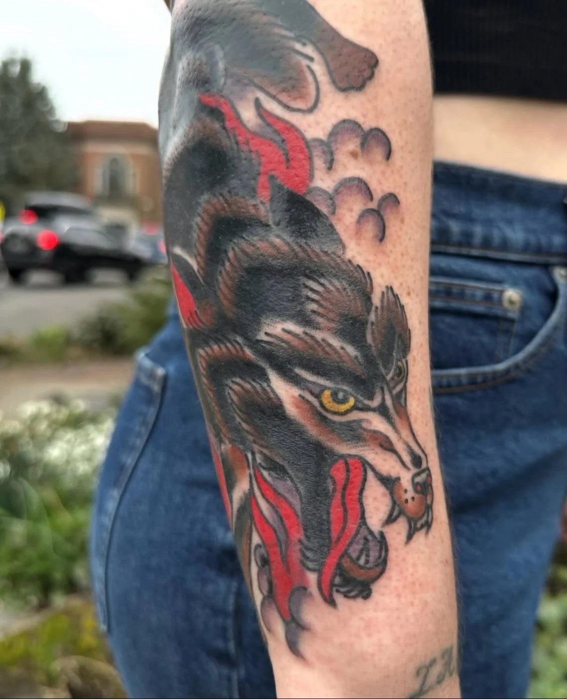 Wolf made for a cover up done by @sarahhalltattoos 

To schedule with Sarah go to her page and send her an email located in bio