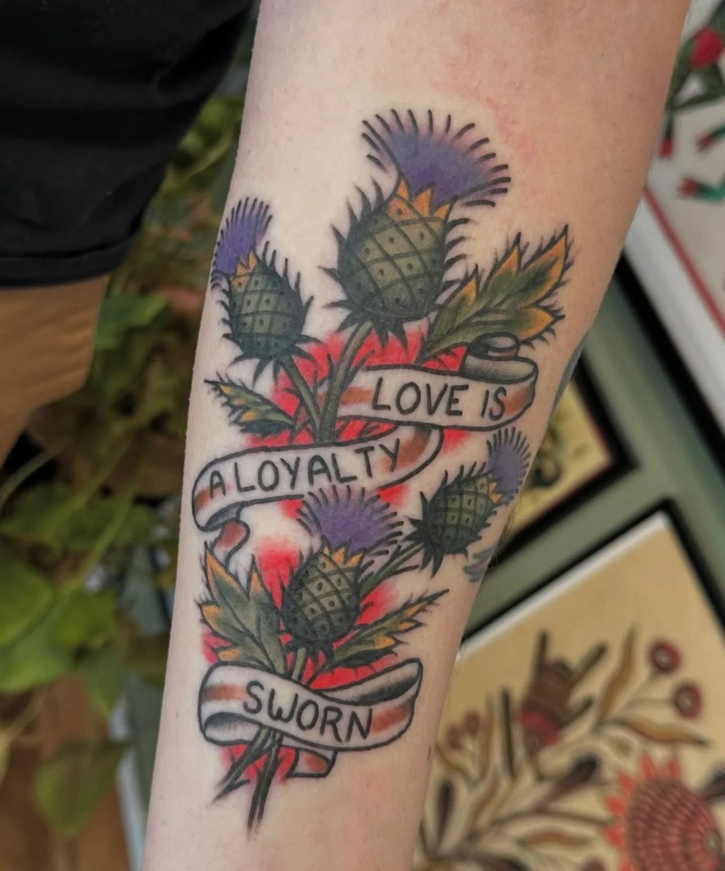 Custom thistles made by @sarahhalltattoos 

To schedule with Sarah head over to their page and send her an email