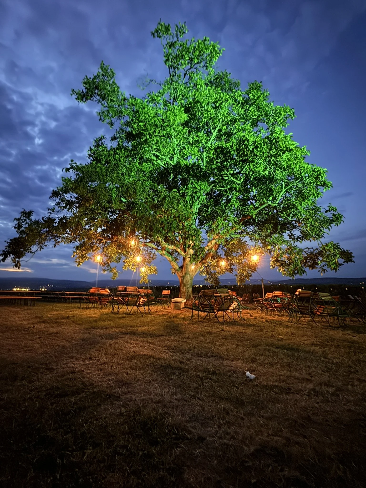 Weinfest am Nussbaum, 25. &amp; 26. Juli 2025 ab 17.00 Uhr