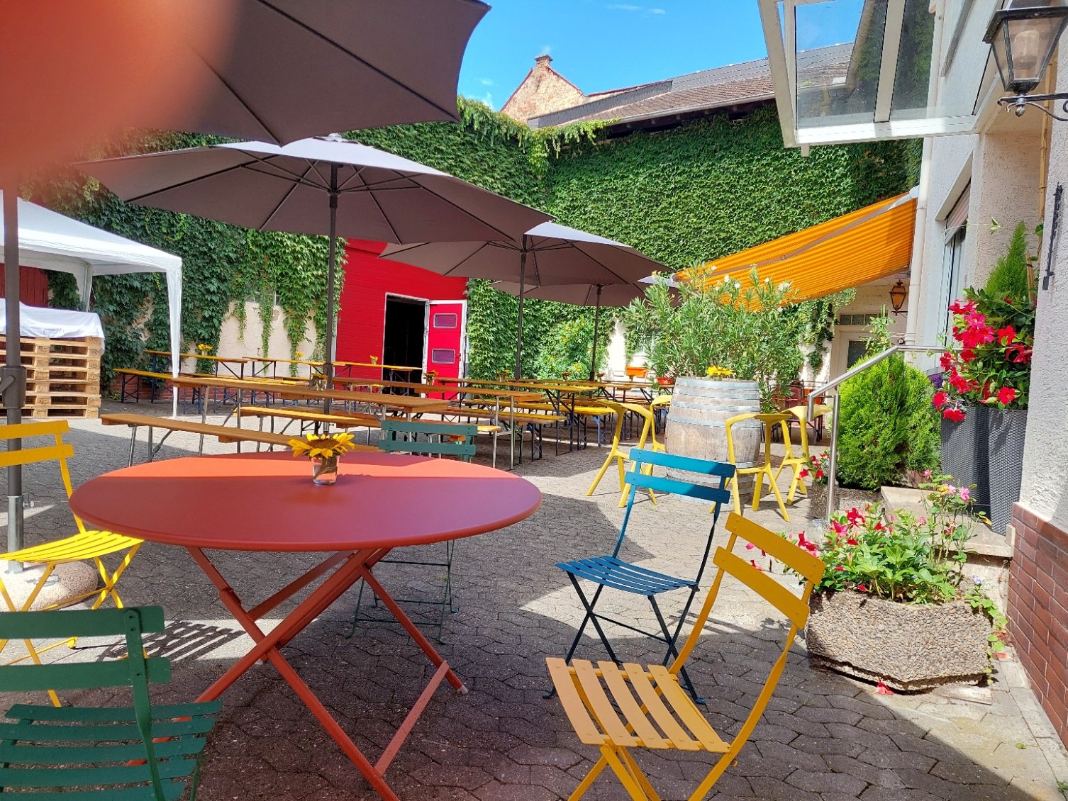 Weinkost am Samstag den 29. August 2026 ab 13.30 Uhr