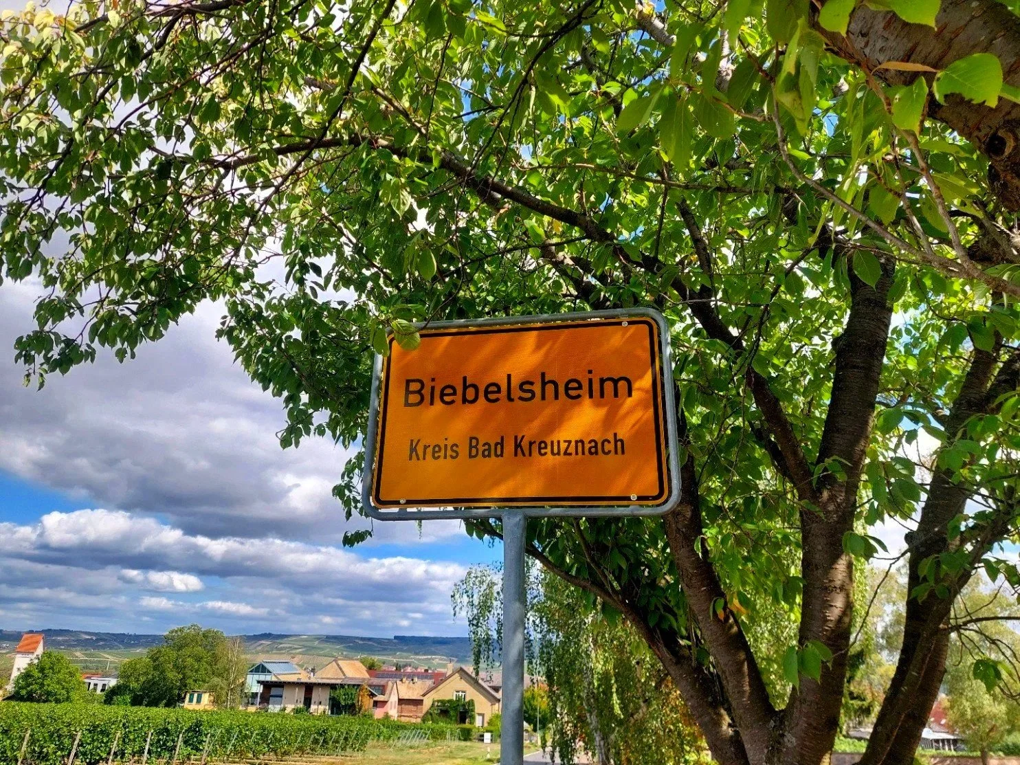 Biebelsheim 2026a.jpg