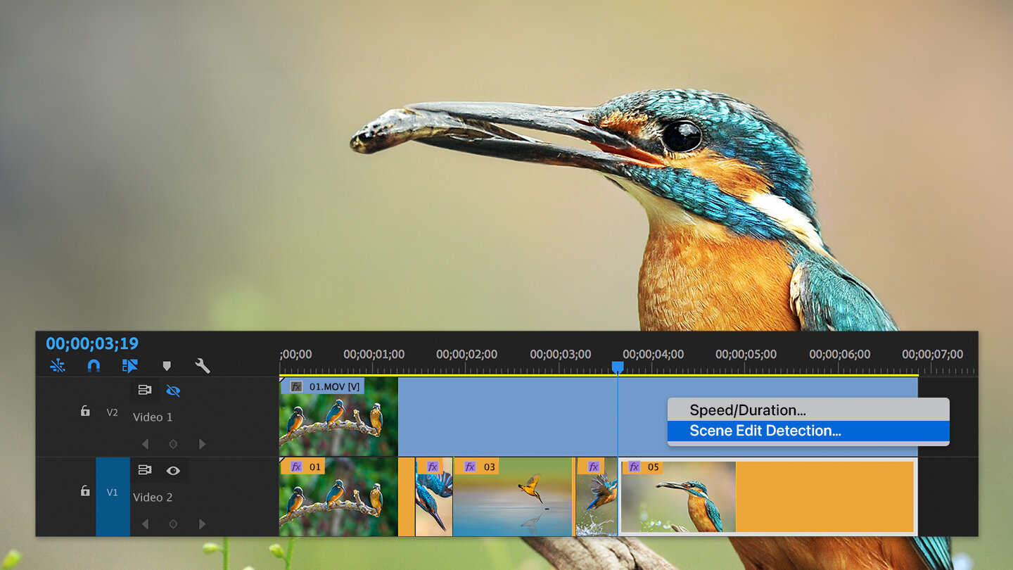 Premiere Pro_WhatsNew_SceneEditDetection_EN.jpg