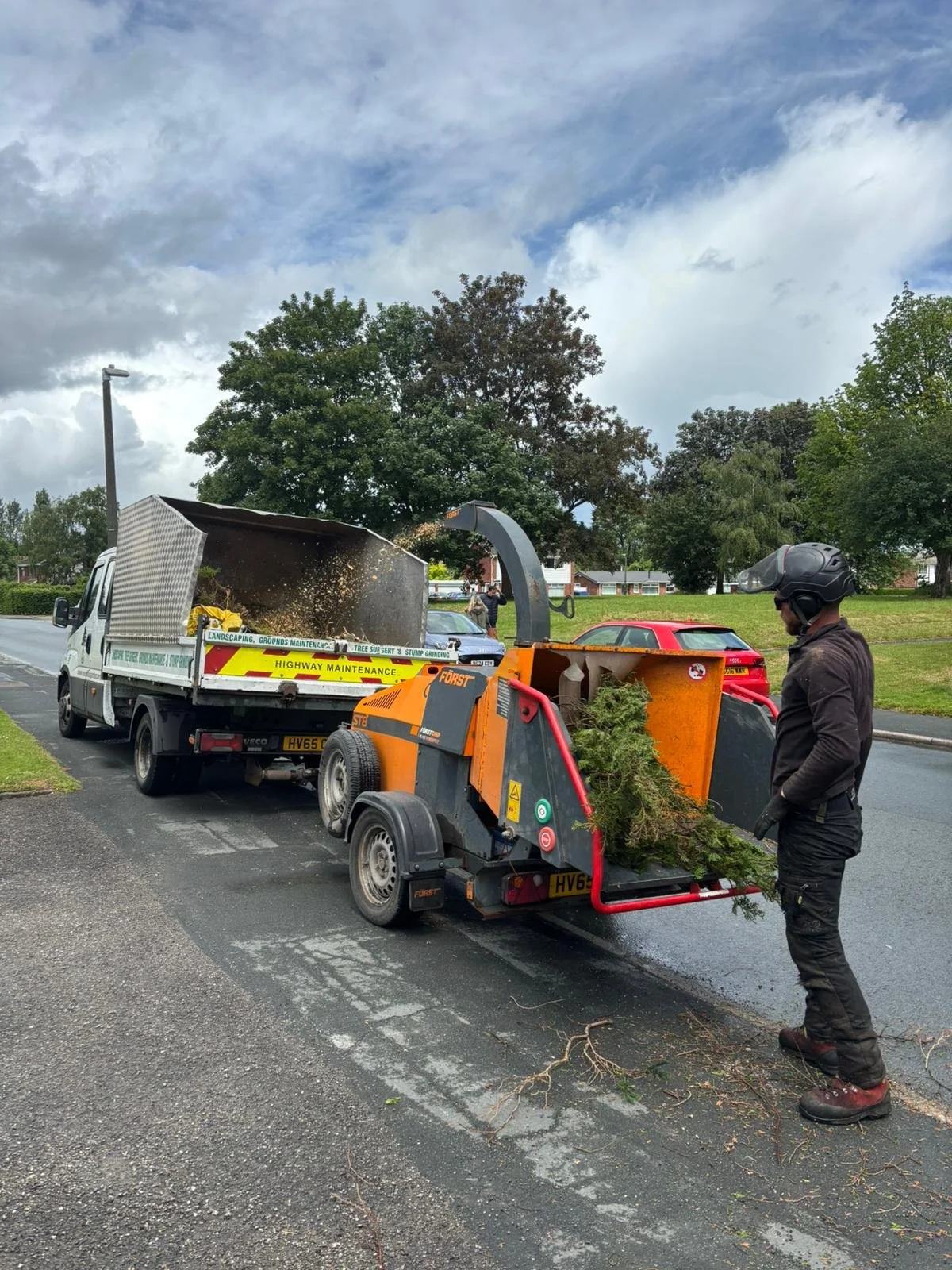 How Much Does Tree Surgery Cost in Chester?