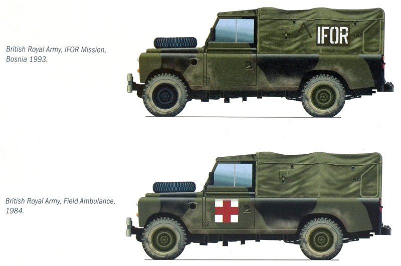 6508_profiloLR.jpg