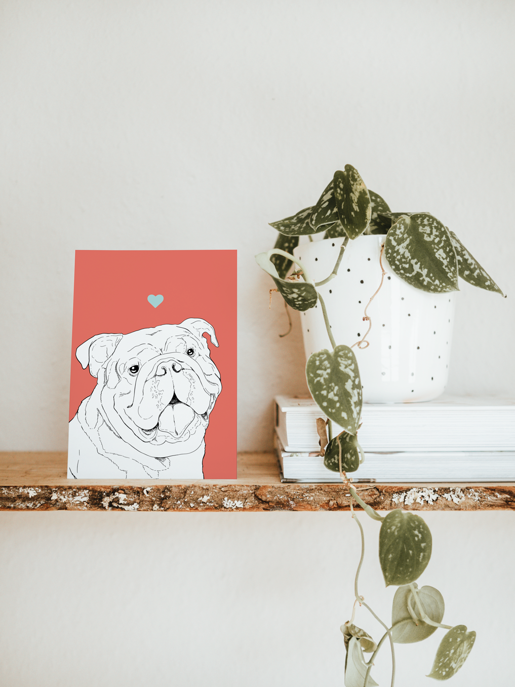 An A6 greetings card & white plant pot on a shelf. The card has a bright red coloured background, with a black & white digital illustration of the head & shoulders of a Bulldog dog.