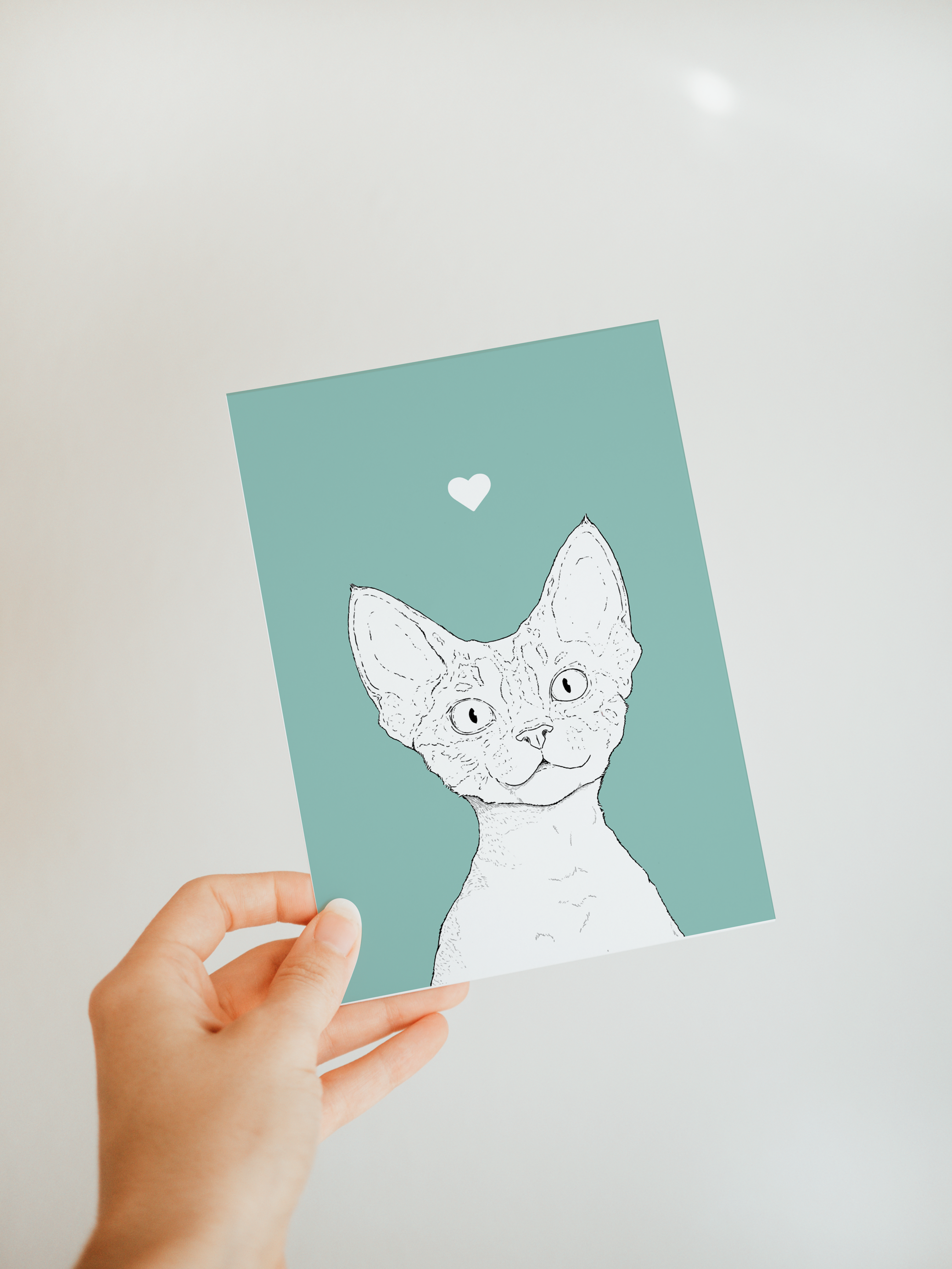 Devon Rex Cat A6 Card