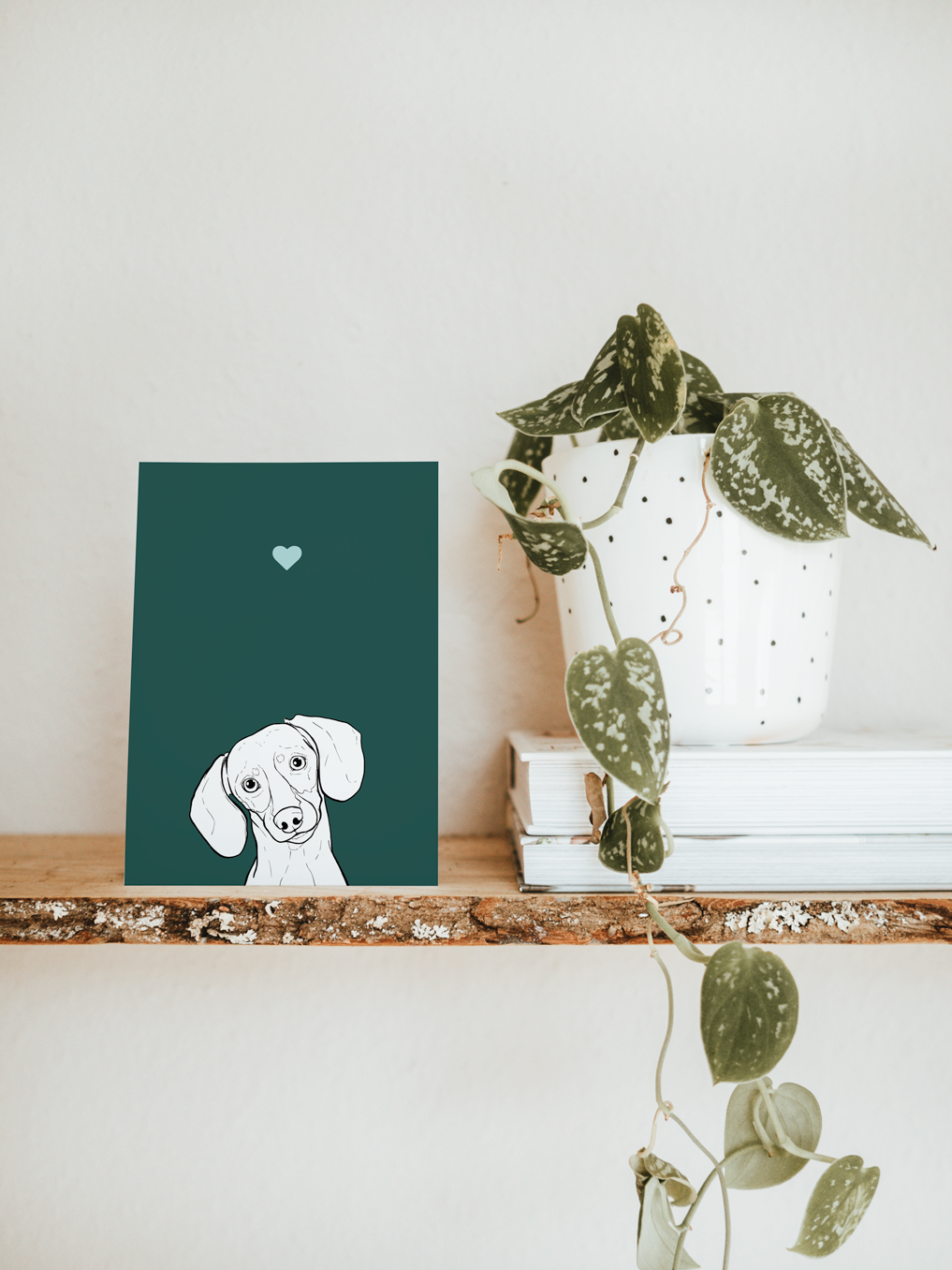 An A6 greetings card & white plant pot on a shelf. The card has a dark green coloured background, with a black & white digital illustration of the head & shoulders of a Mini Dachshund dog.