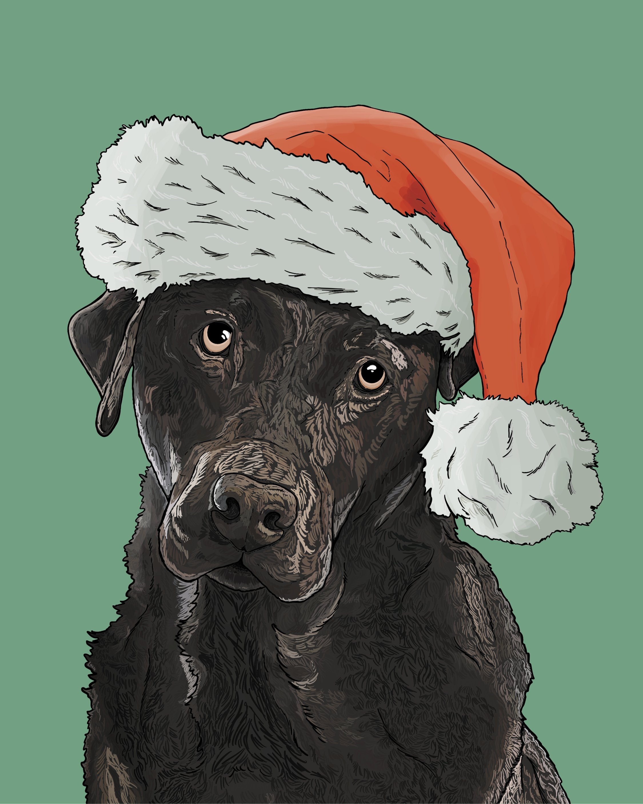 Design from an A6 Dog Christmas Card, bright digital illustration of a black Labrador dog in a red Santa hat! Set on a flat turquoise background.