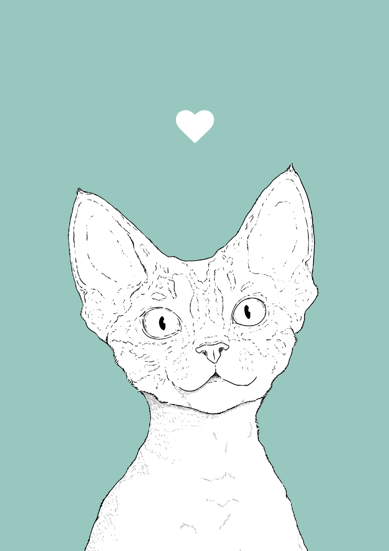 1. Devon Rex_Unframed.png